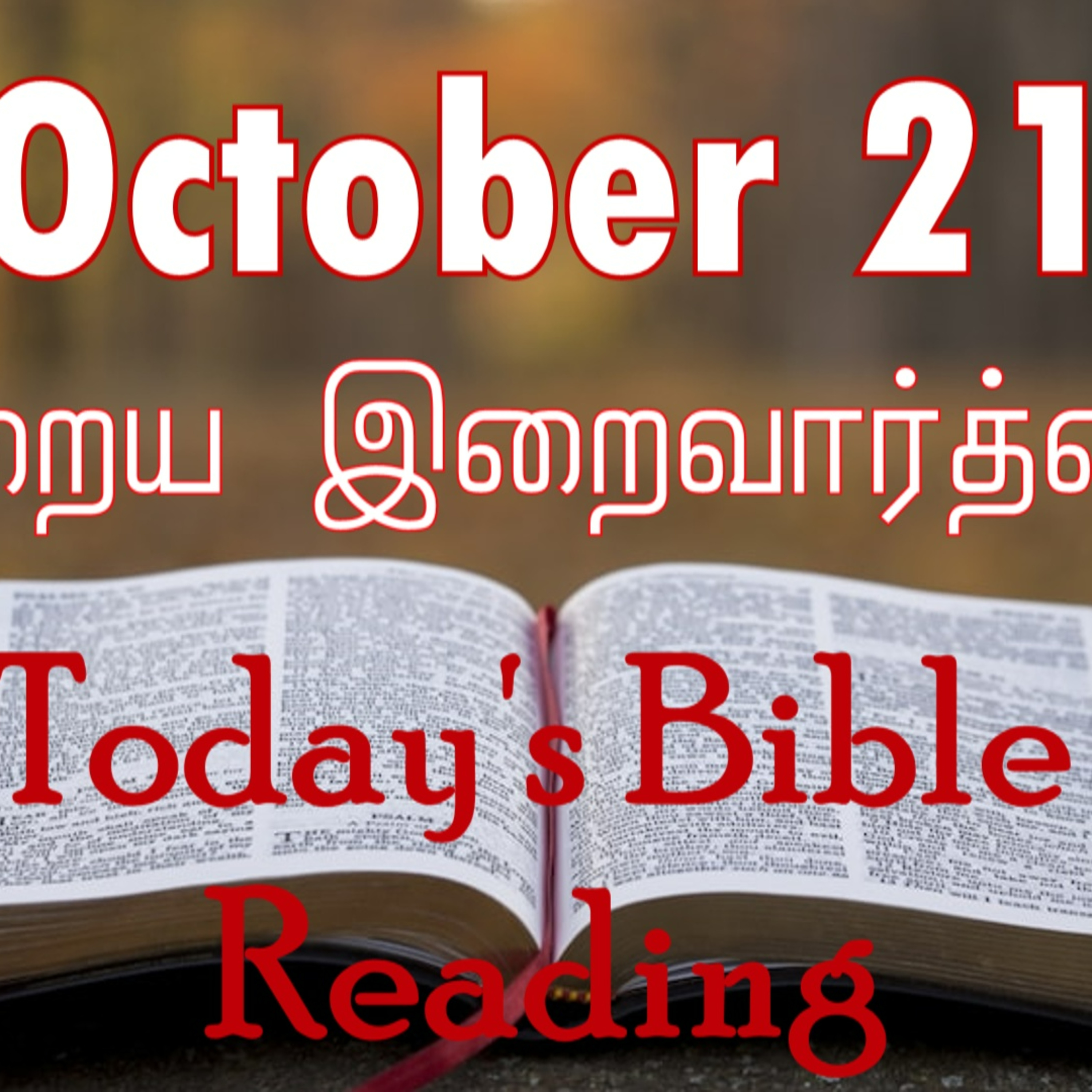 21 October 2023 Holy Mass Readings Tamil | Catholic | Daily Bible Reading Tamil | Mass readings today | Today's Mass Readings Tamil episode artwork