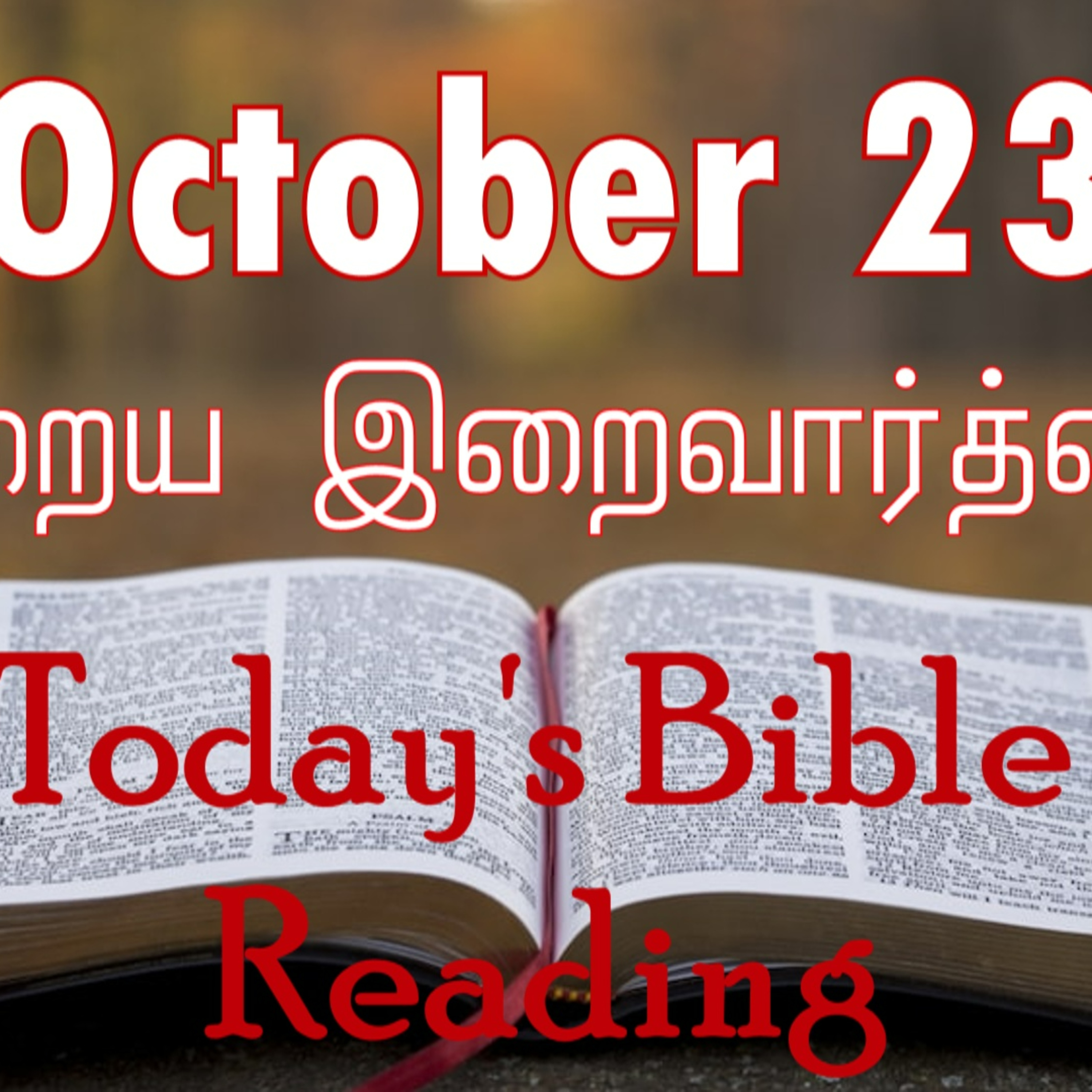 23 October 2023 Holy Mass Readings Tamil | Catholic | Daily Bible Reading Tamil | Mass readings today | Today's Mass Readings Tamil episode artwork