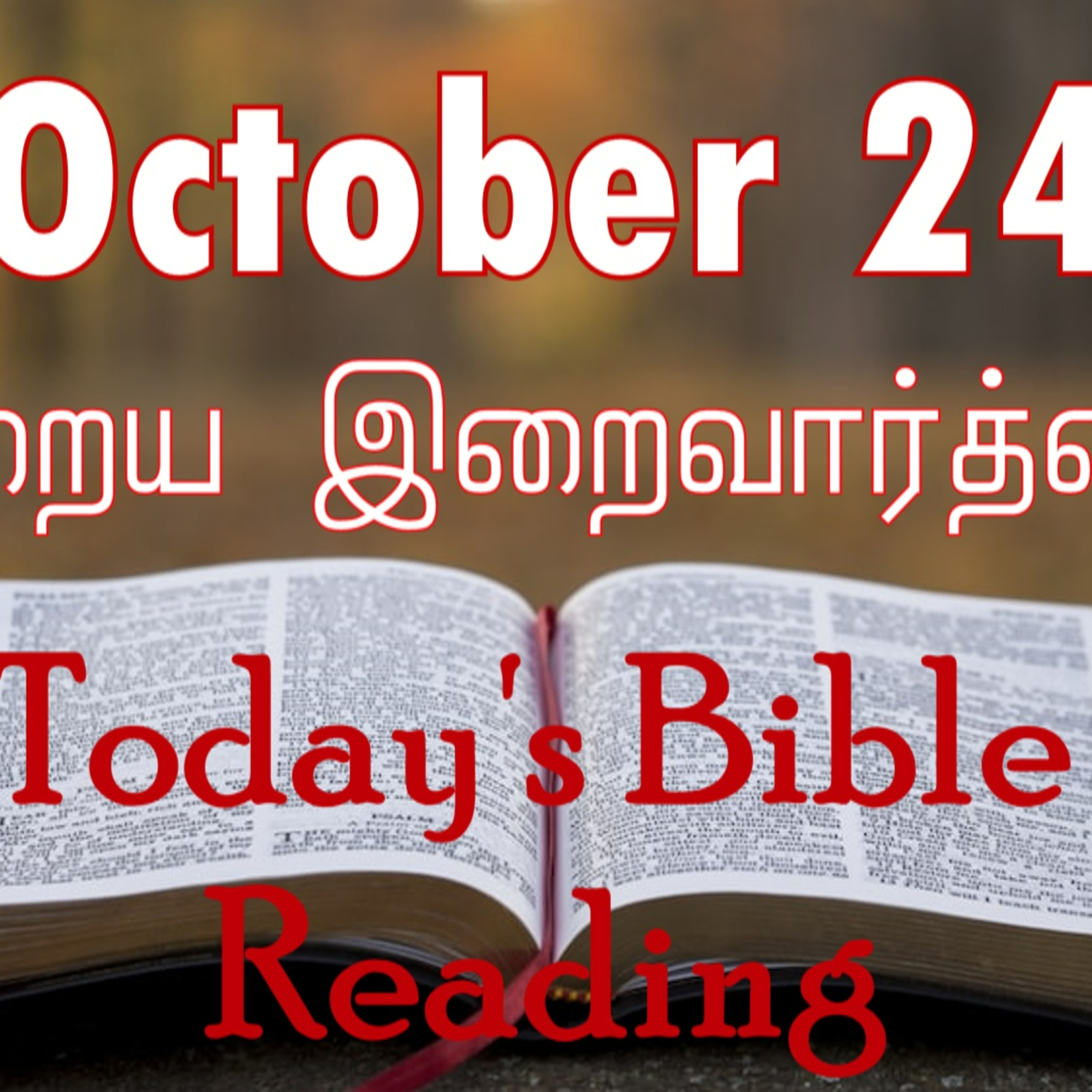 24 October 2023 Holy Mass Readings Tamil | Catholic | Daily Bible Reading Tamil | Mass readings today | Today's Mass Readings Tamil | Daily bible verse in Tamil | Mass Readings for today episode artwork