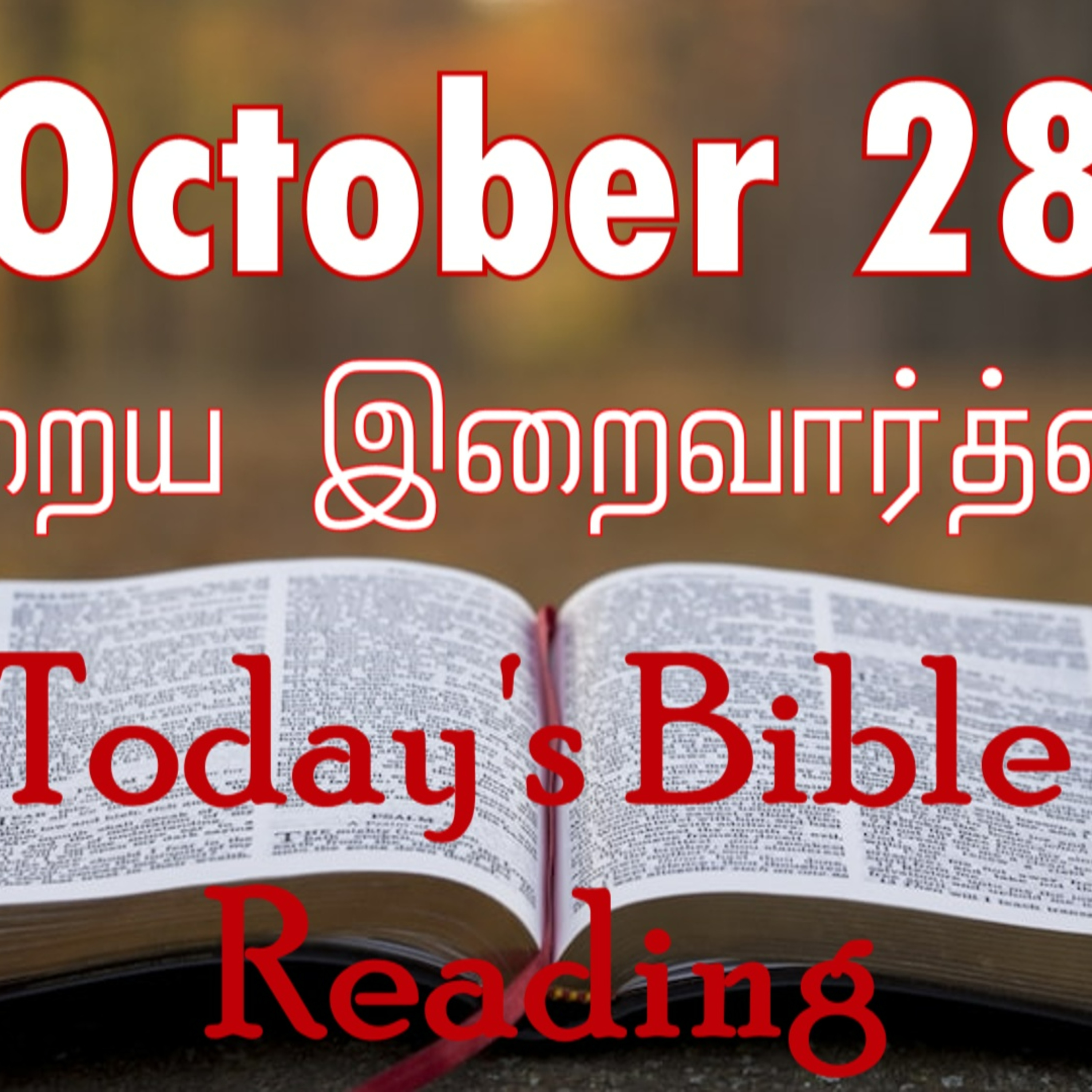 28 October 2023 Holy Mass Readings Tamil | Catholic | Daily Bible Reading Tamil | Mass readings today | Today's Mass Readings Tamil | Daily bible verse in Tamil | Mass Readings for today episode artwork