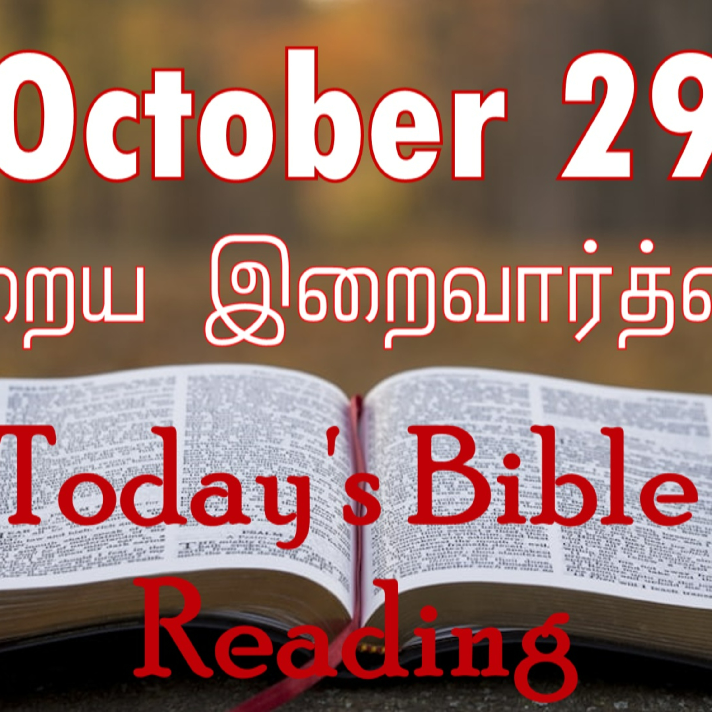29 October 2023 Holy Mass Readings Tamil | Catholic | Daily Bible Reading Tamil | Mass readings today | Today's Mass Readings Tamil | Daily bible verse in Tamil | Mass Readings for today