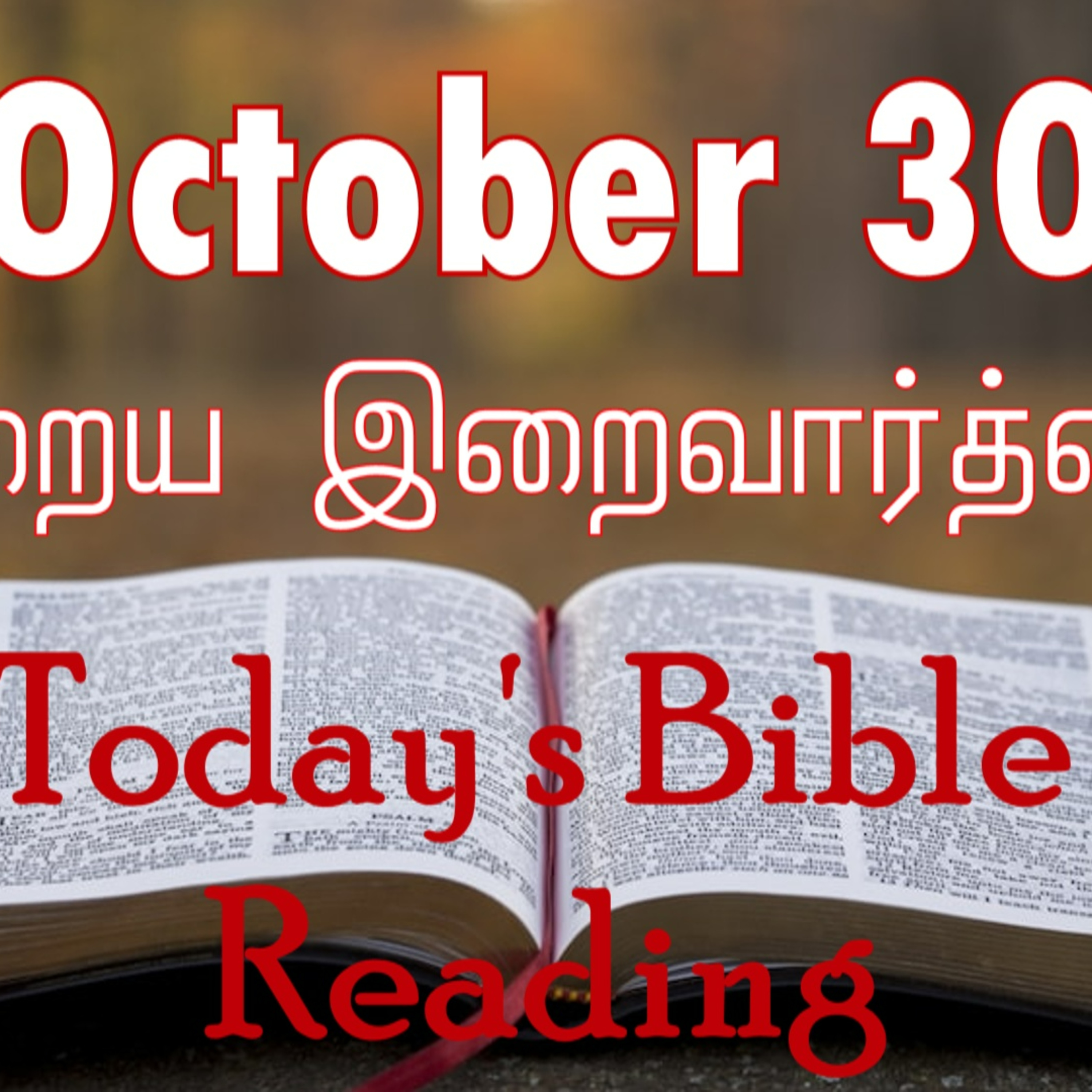 30 October 2023 Holy Mass Readings Tamil | Catholic | Daily Bible Reading Tamil | Mass readings today | Today's Mass Readings Tamil | Daily bible verse in Tamil | Mass Readings for today episode artwork