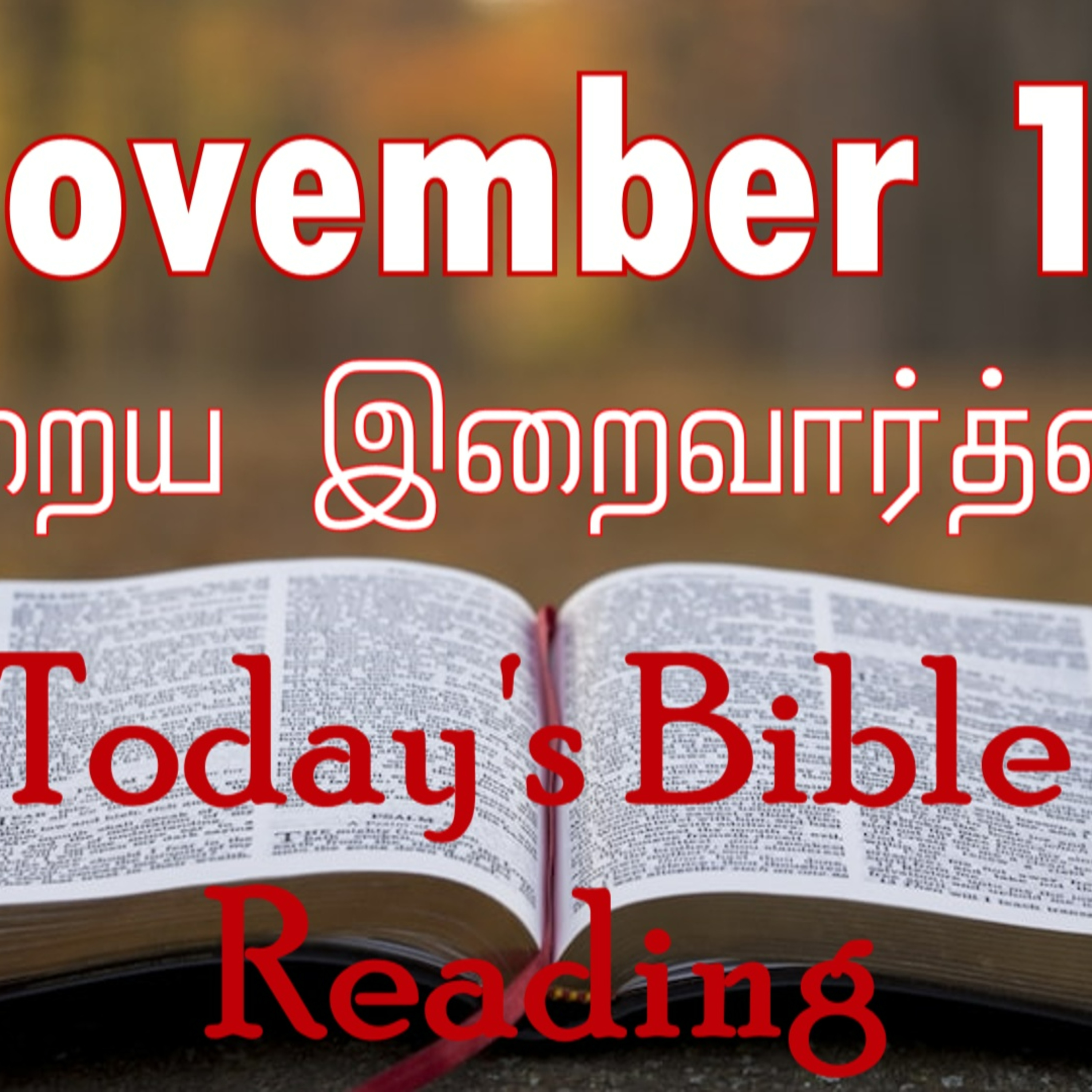 11 November 2023 Holy Mass Readings Tamil | Catholic | Daily Bible Reading Tamil | Mass readings today | Today's Mass Readings Tamil episode artwork