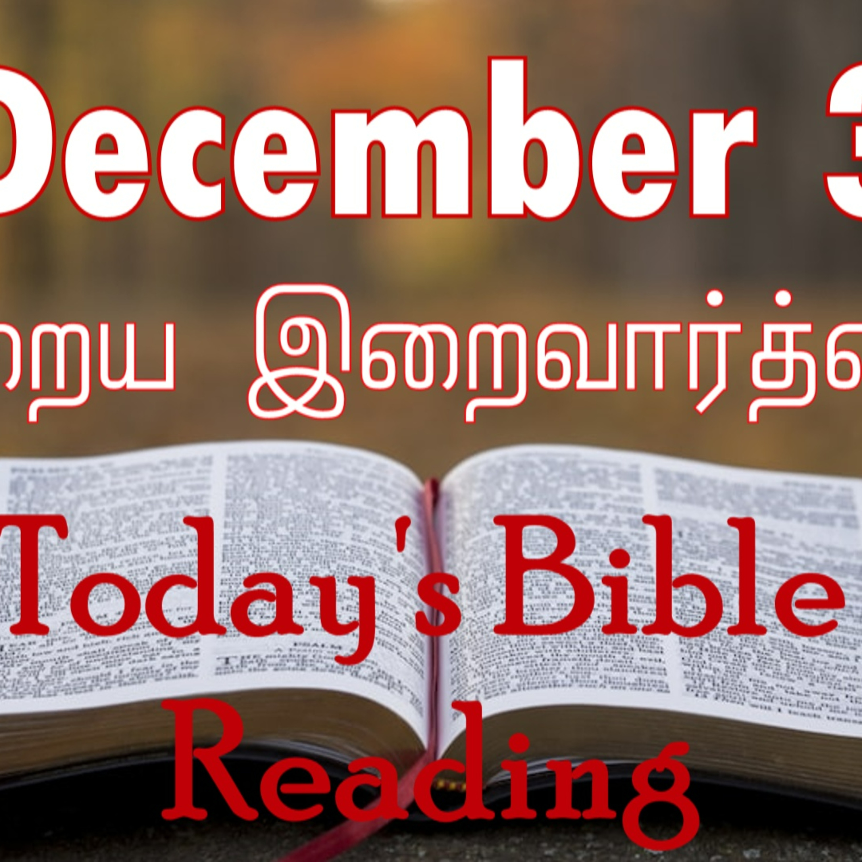 3 December 2023 Holy Mass Readings Tamil | Catholic | Daily Bible Reading Tamil | Mass readings today | Today's Mass Readings Tamil | Daily bible verse in Tamil | Mass Readings for today episode artwork