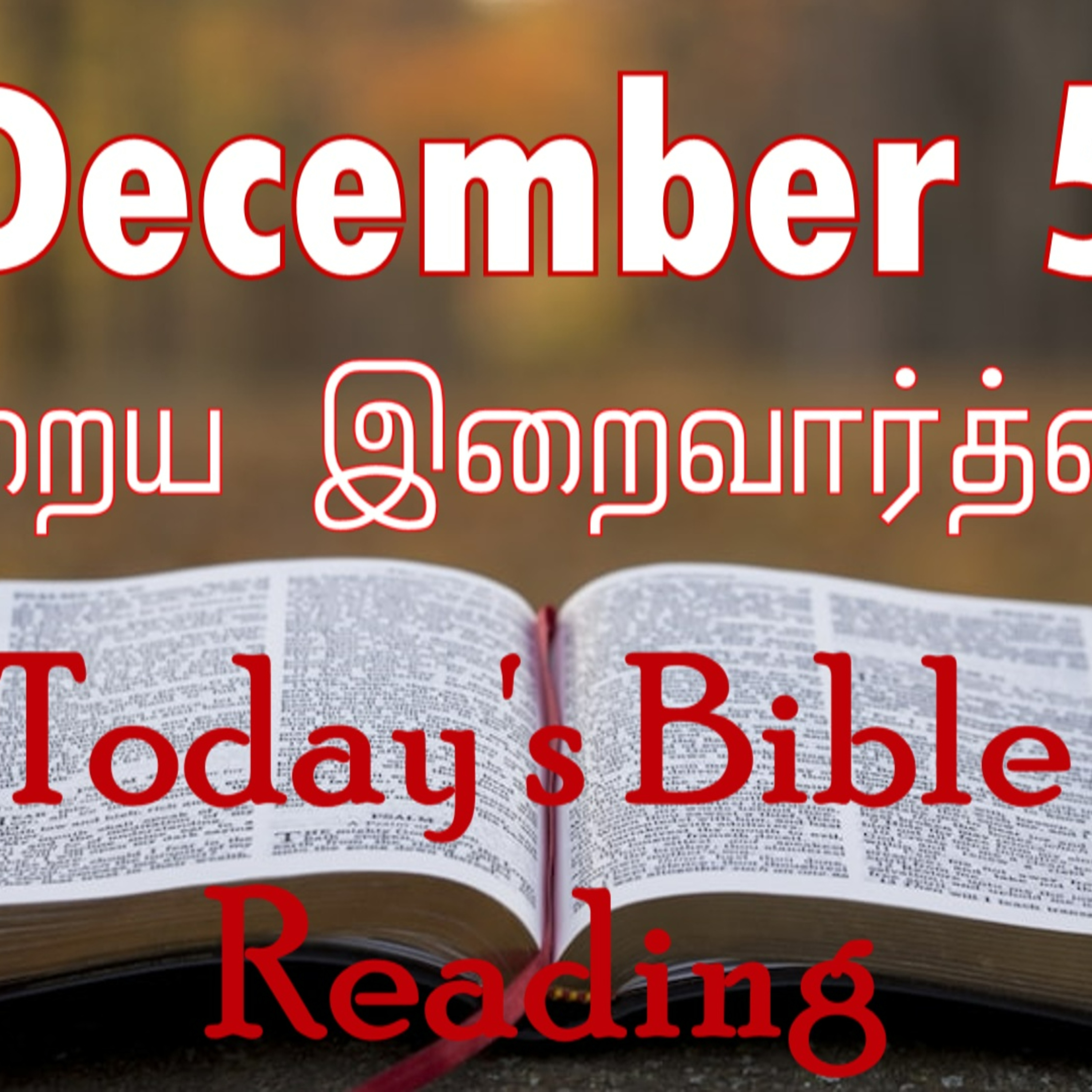 5 December 2023 Holy Mass Readings Tamil | Catholic | Daily Bible Reading Tamil | Mass readings today | Today's Mass Readings Tamil | Daily bible verse in Tamil  episode artwork