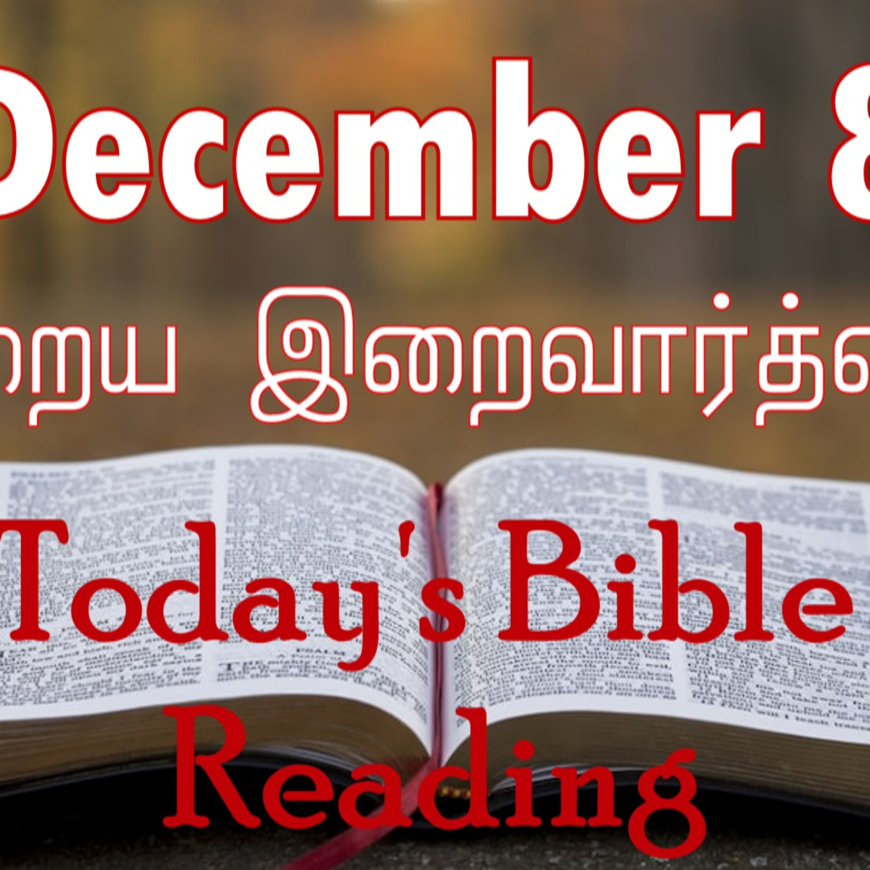 8 December 2023 Holy Mass Readings Tamil | Catholic | Daily Bible Reading Tamil | Mass readings today | Today's Mass Readings Tamil | Daily bible verse in Tamil  episode artwork