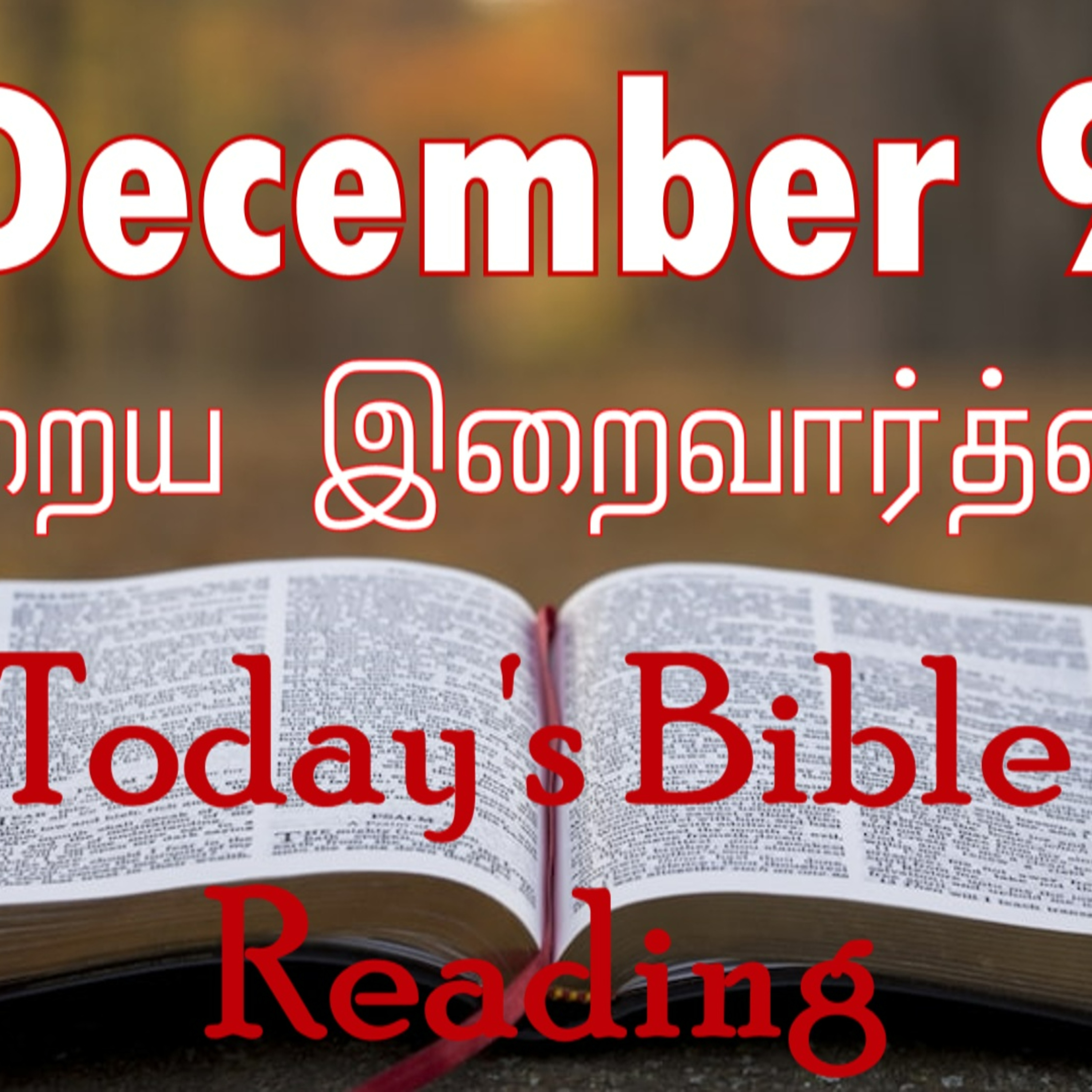 9 December 2023 Holy Mass Readings Tamil | Catholic | Daily Bible Reading Tamil | Mass readings today | Today's Mass Readings Tamil | Daily bible verse in Tamil 