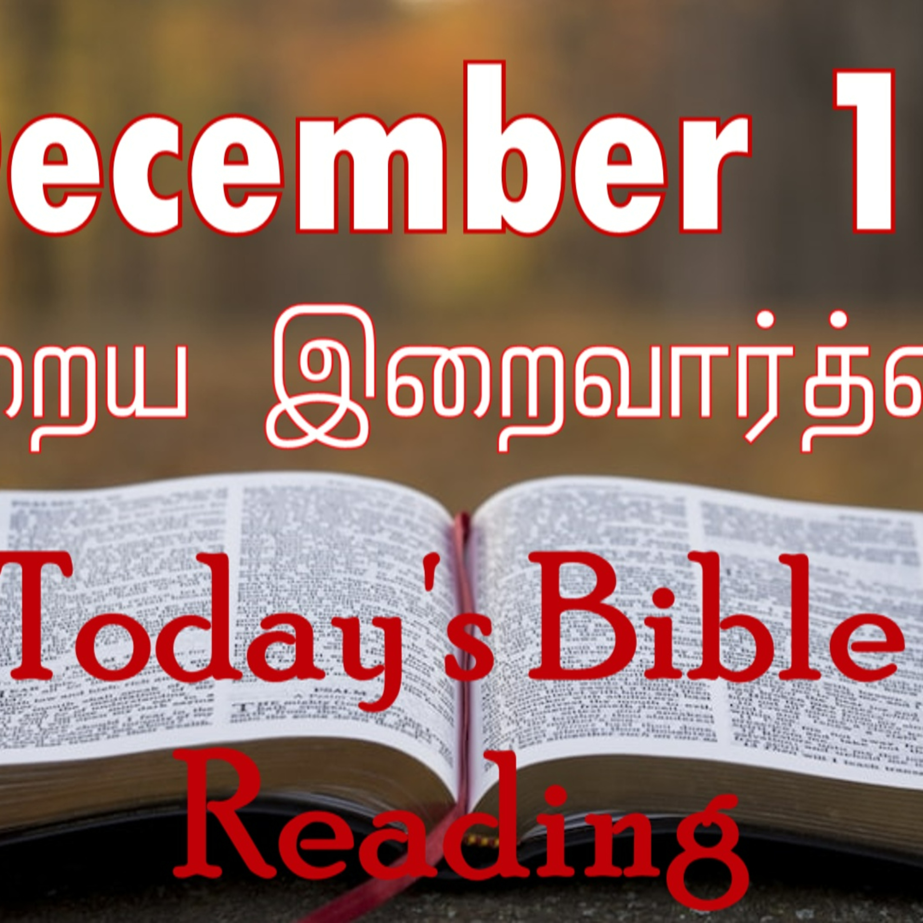16 December 2023 Holy Mass Readings Tamil | Catholic | Daily Bible Reading Tamil | Mass readings today | Today's Mass Readings Tamil episode artwork
