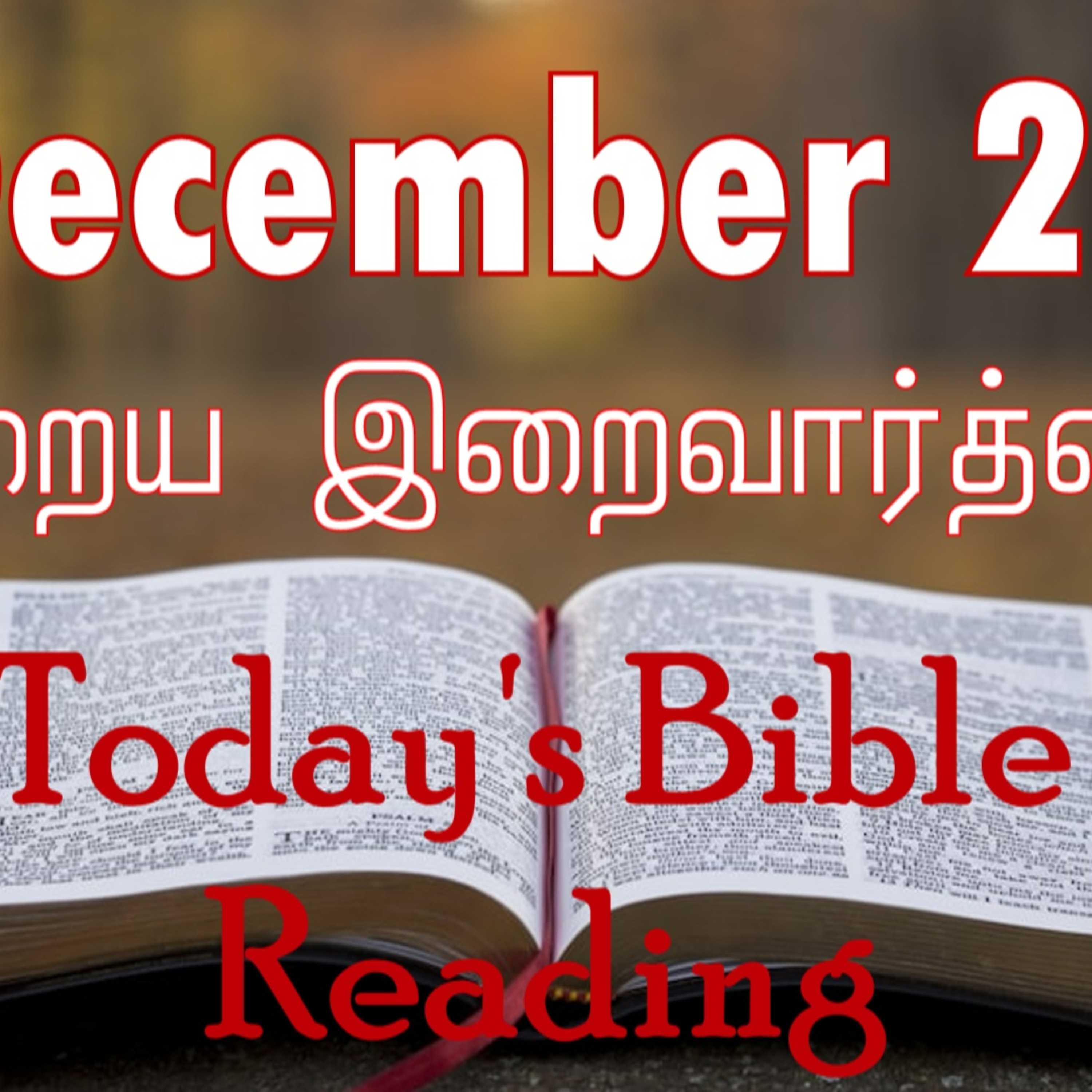27 December 2023 Holy Mass Readings Tamil | Catholic | Daily Bible Reading Tamil | Mass readings today | Today's Mass Readings Tamil  episode artwork