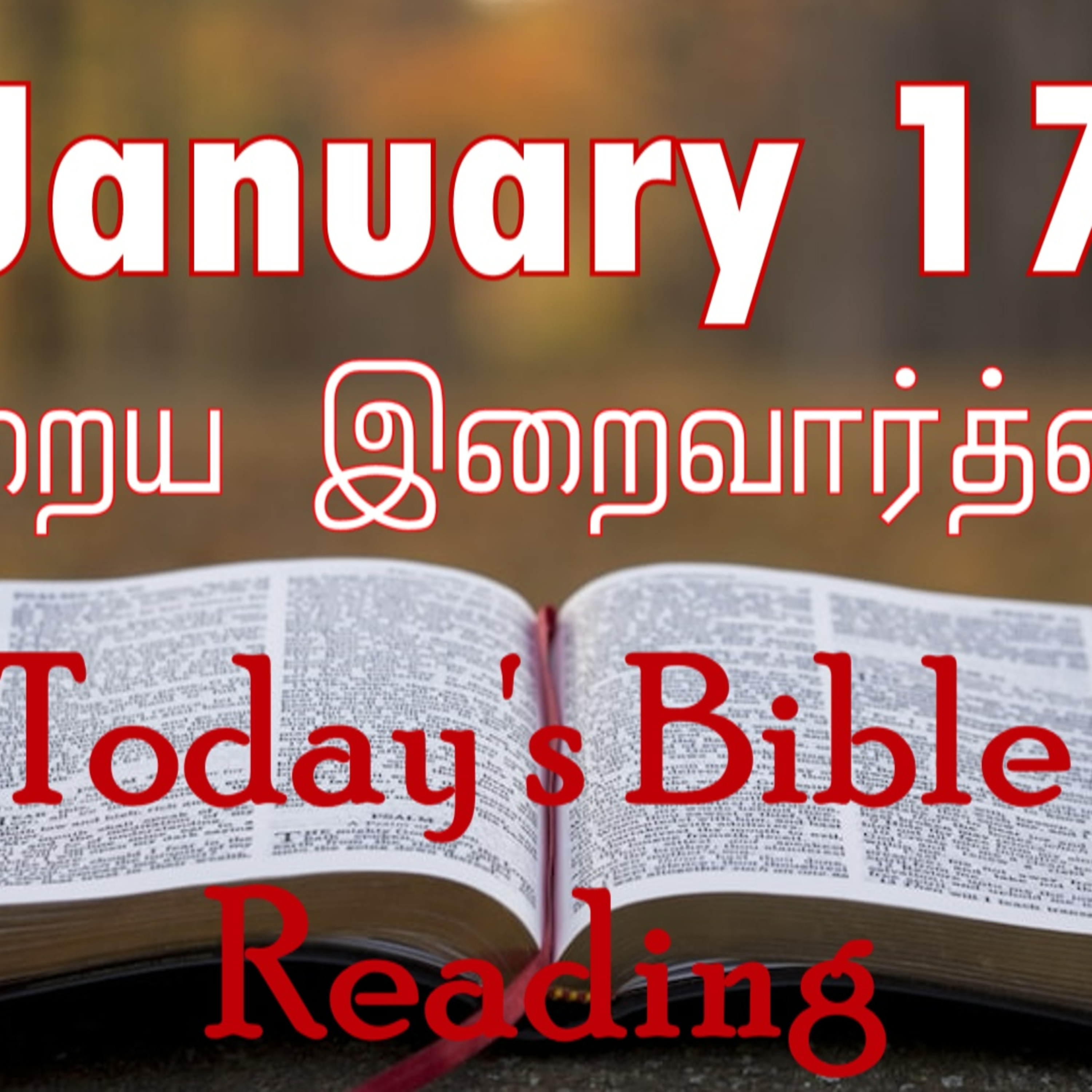 17 January 2024 Holy Mass Readings Tamil | Catholic | Daily Bible Reading Tamil | Mass readings today | Today's Mass Readings episode artwork