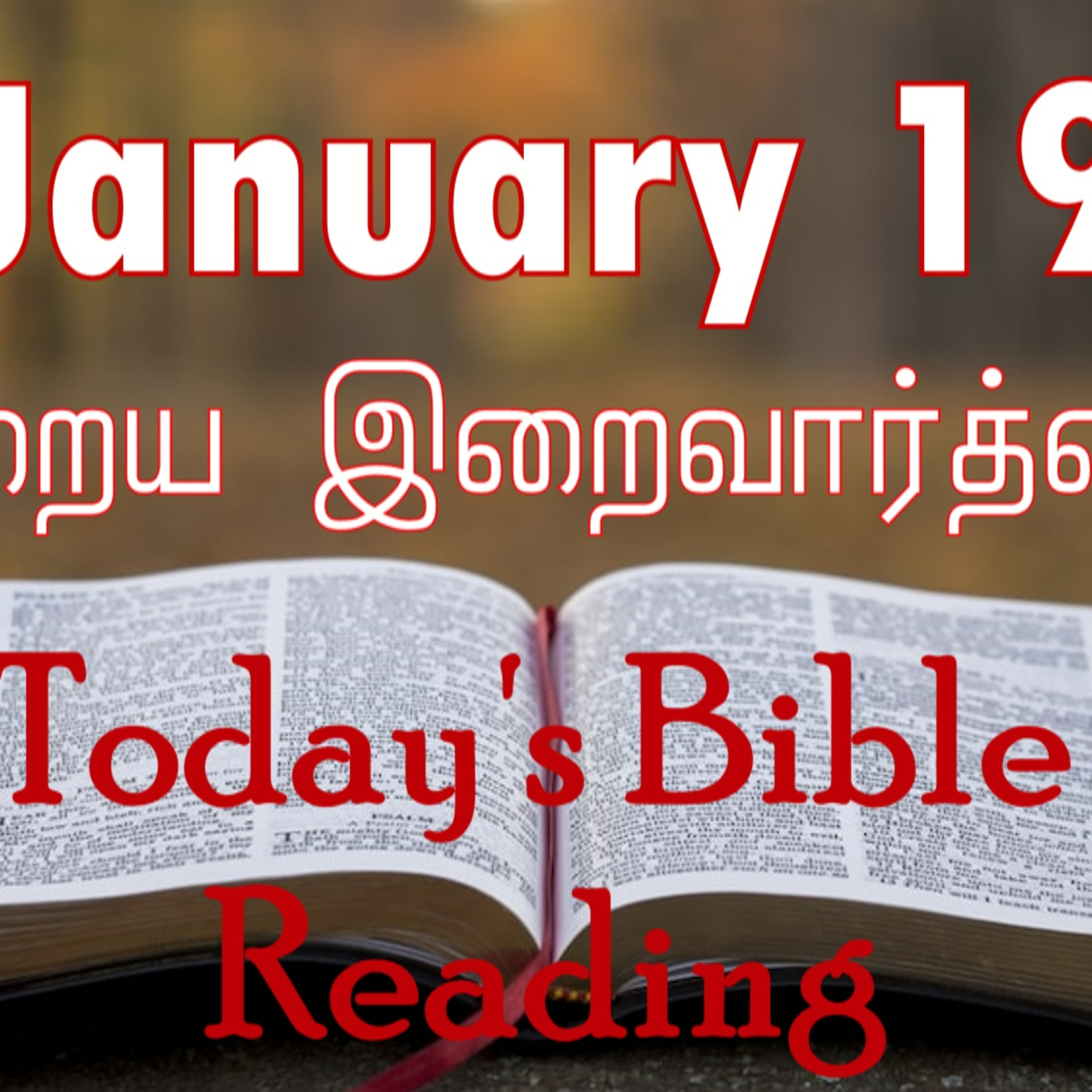 19 January 2024 Holy Mass Readings Tamil | Catholic | Daily Bible Reading Tamil | Mass readings today | Today's Mass Readings Tamil  episode artwork