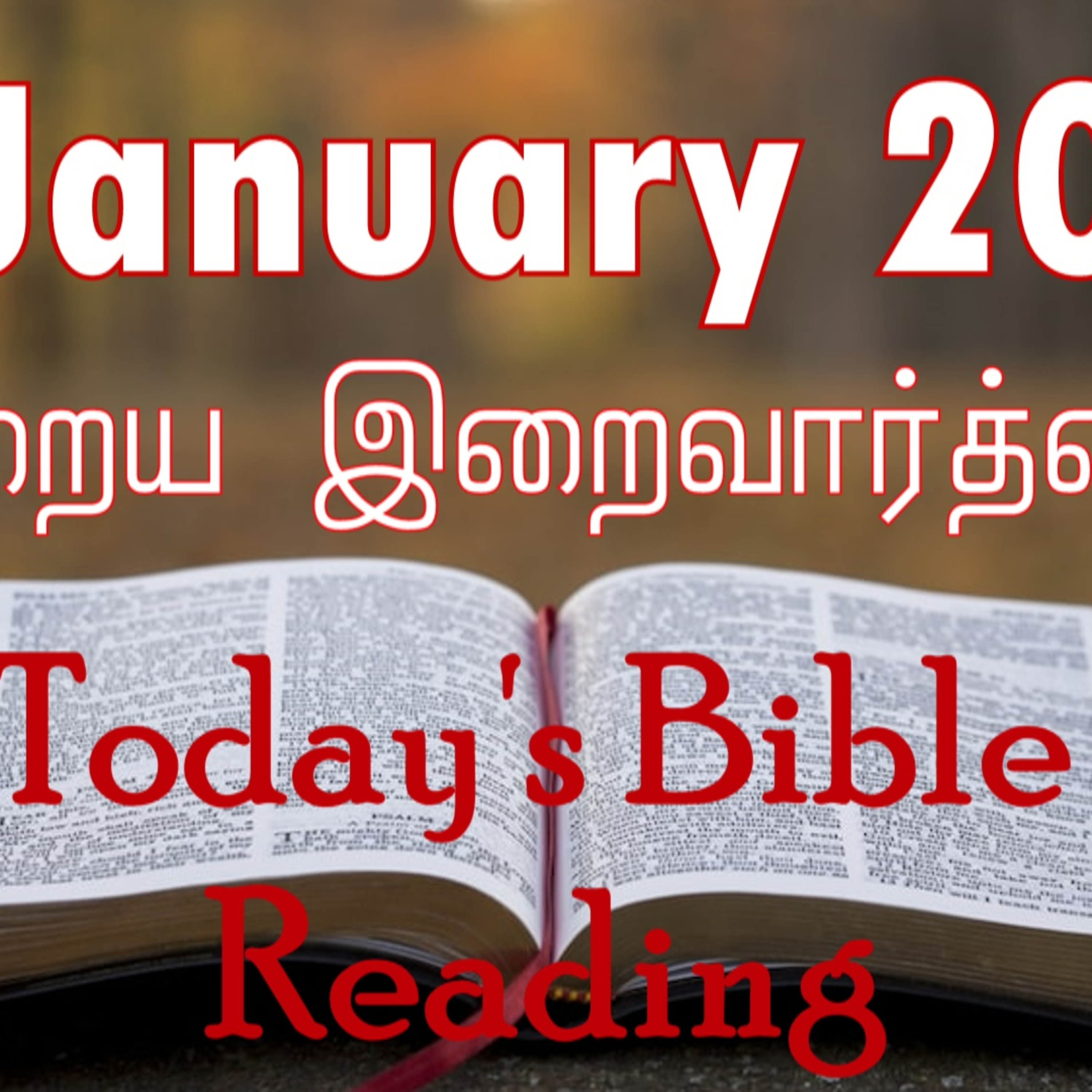 20 January 2024 Holy Mass Readings Tamil | Catholic | Daily Bible  episode artwork