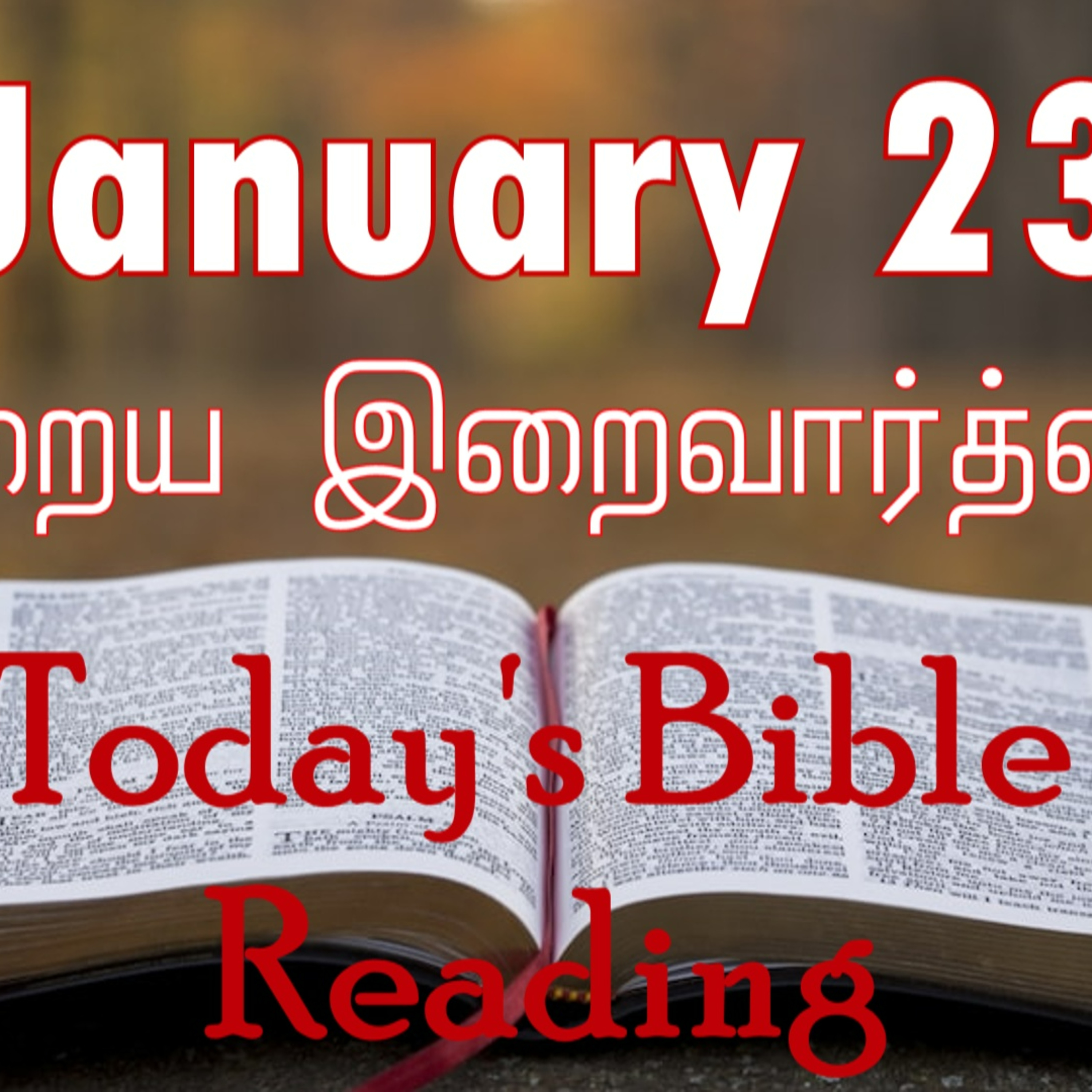23 January 2024 Holy Mass Readings Tamil | Catholic | Daily Bible Reading Tamil | Mass readings today | Today's Mass Readings Tamil episode artwork