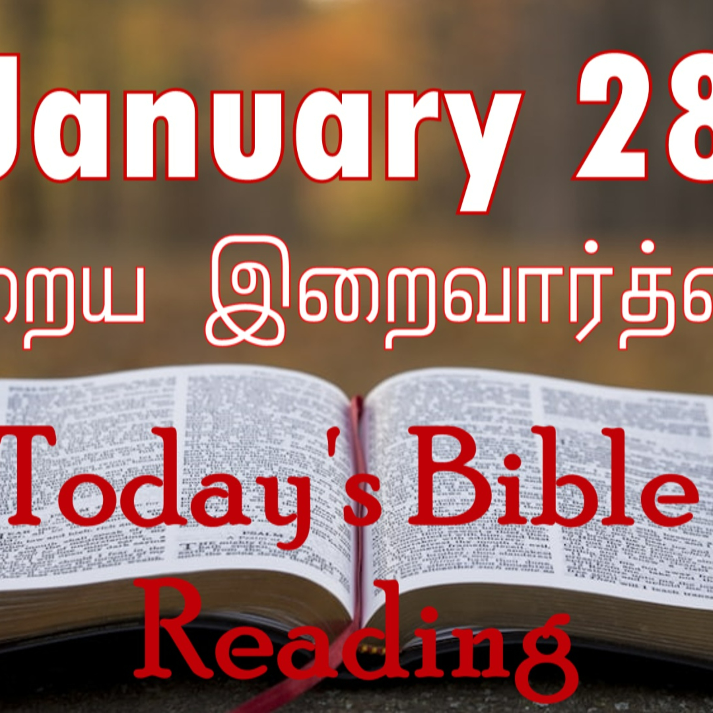 28 January 2024 Holy Mass Readings Tamil | Catholic | Daily Bible Reading Tamil | Mass readings today | Today's Mass Readings Tamil episode artwork