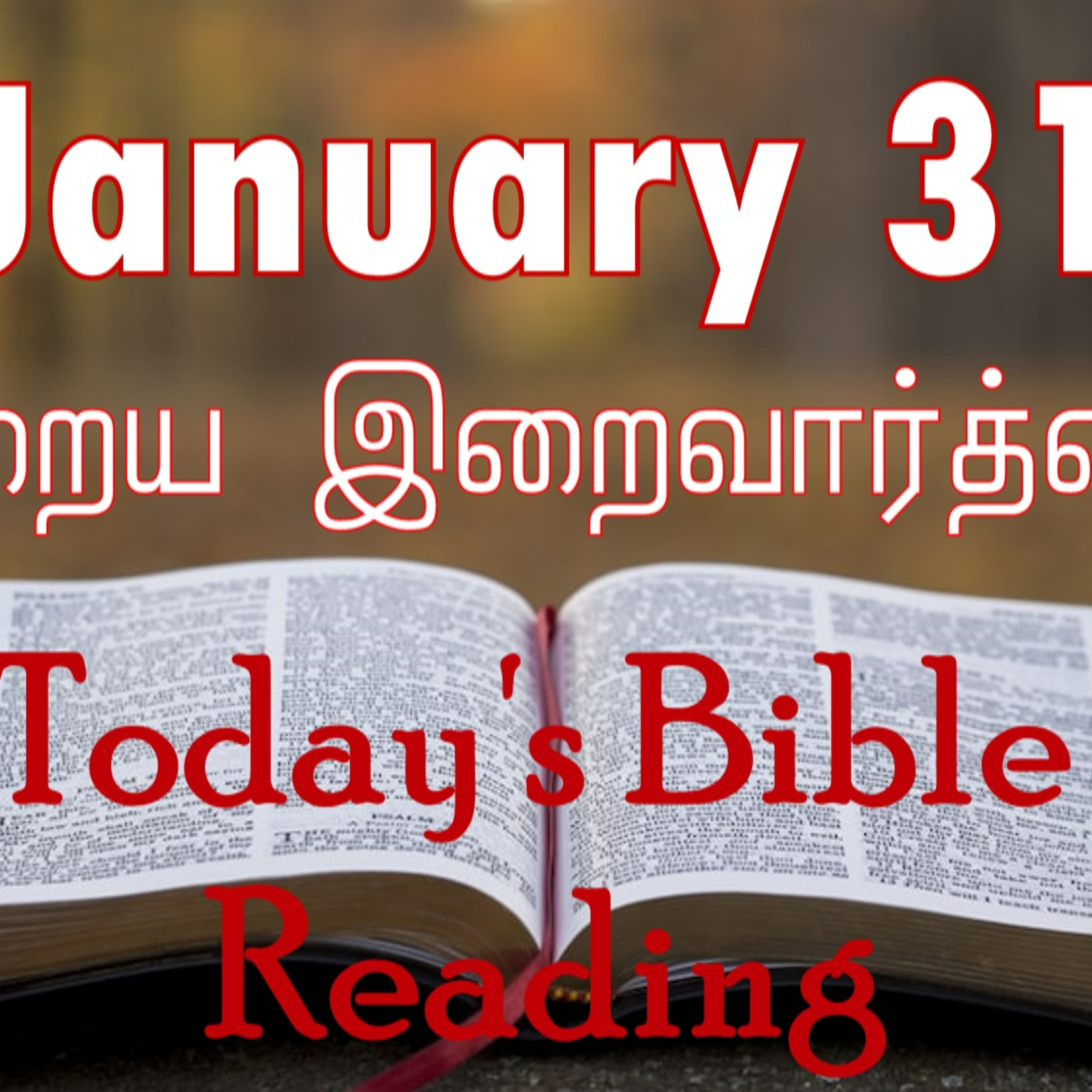 31 January 2024 Holy Mass Readings Tamil | Catholic | Daily Bible Reading Tamil | Mass readings today | Today's Mass Readings Tamil episode artwork