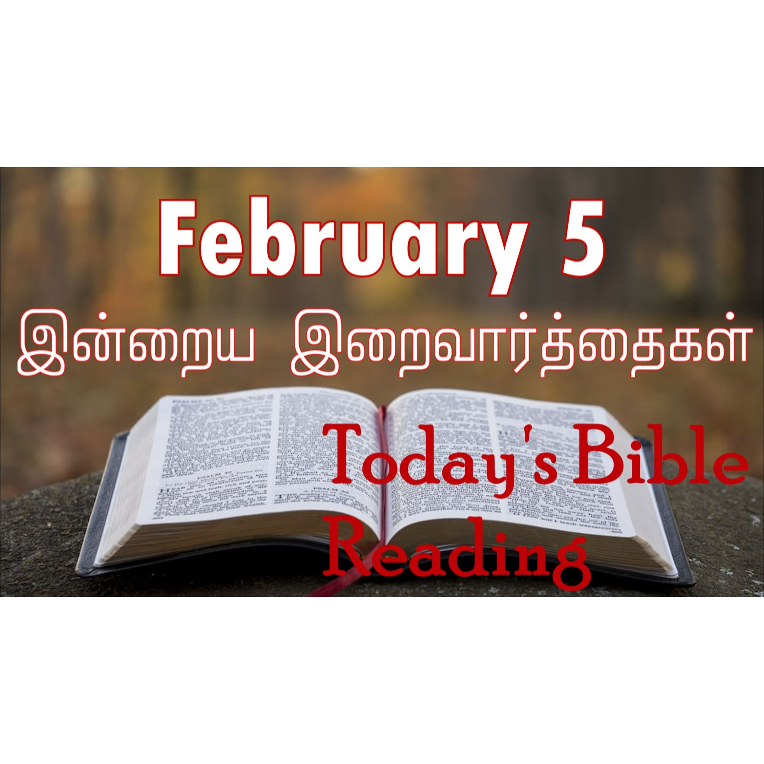 5 February 2024 Holy Mass Readings Tamil | Catholic | Daily Bible Reading Tamil | Mass readings today | Today's Mass Readings Tamil  episode artwork