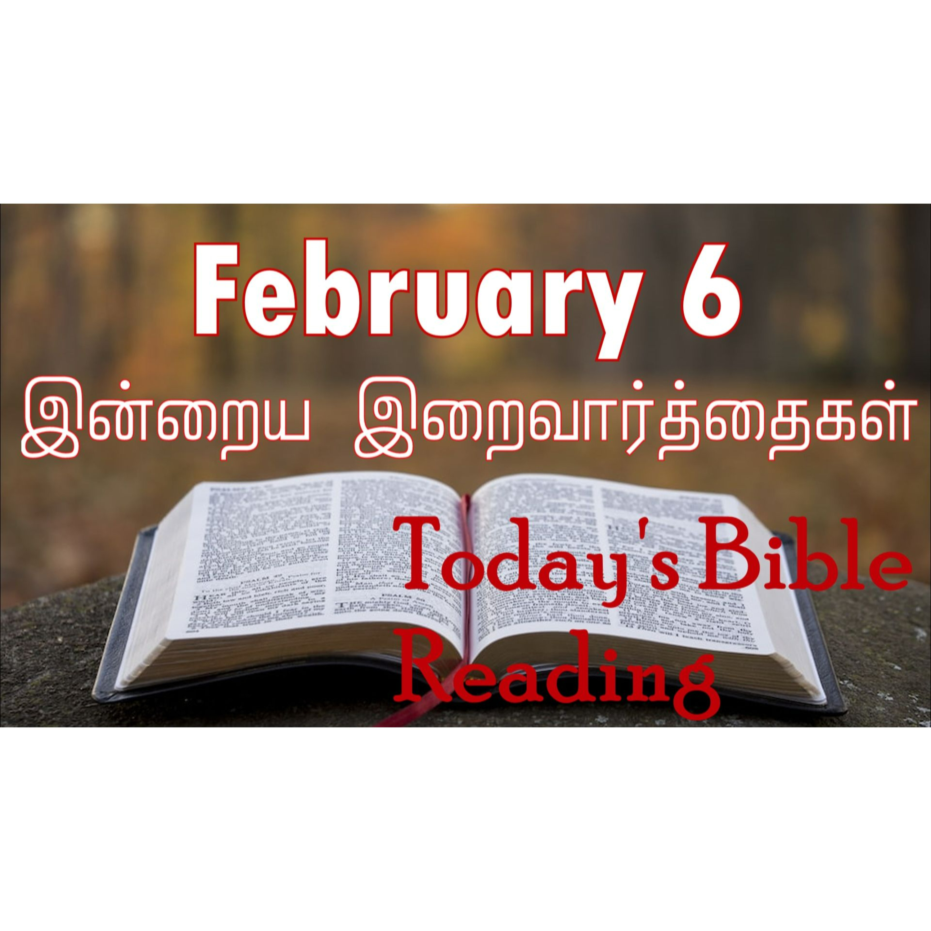 6 February 2024 Holy Mass Readings Tamil | Catholic | Daily Bible Reading Tamil | Mass readings today | Today's Mass Readings Tamil  episode artwork