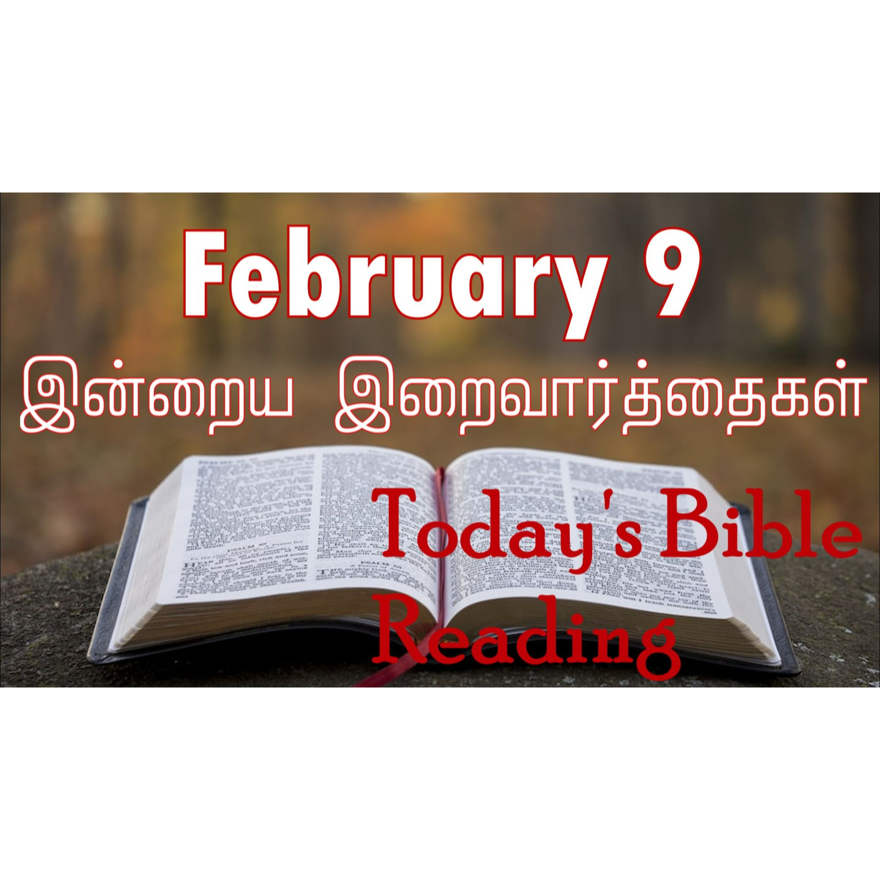 9 February 2024 Holy Mass Readings Tamil | Catholic | Daily Bible Reading Tamil | Mass readings today | Today's Mass Readings Tamil