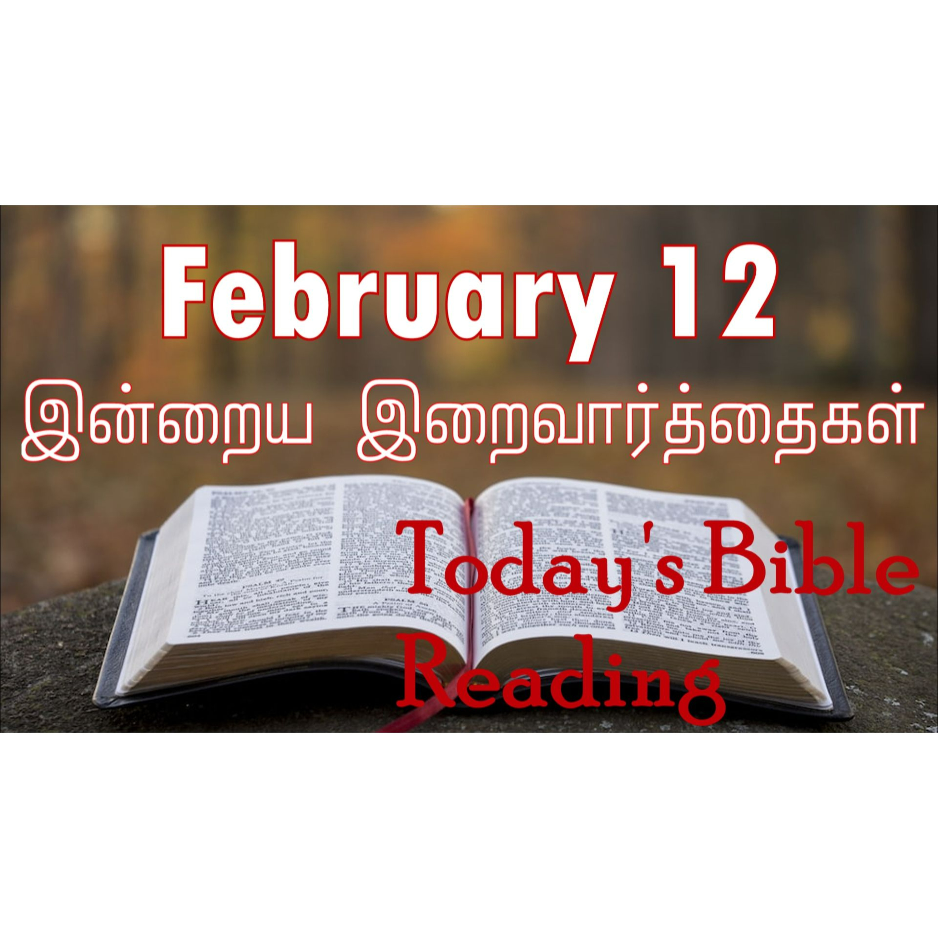 12 February 2024 Holy Mass Readings Tamil | Catholic | Daily Bible Reading Tamil | Mass readings today | Today's Mass Readings Tamil  episode artwork
