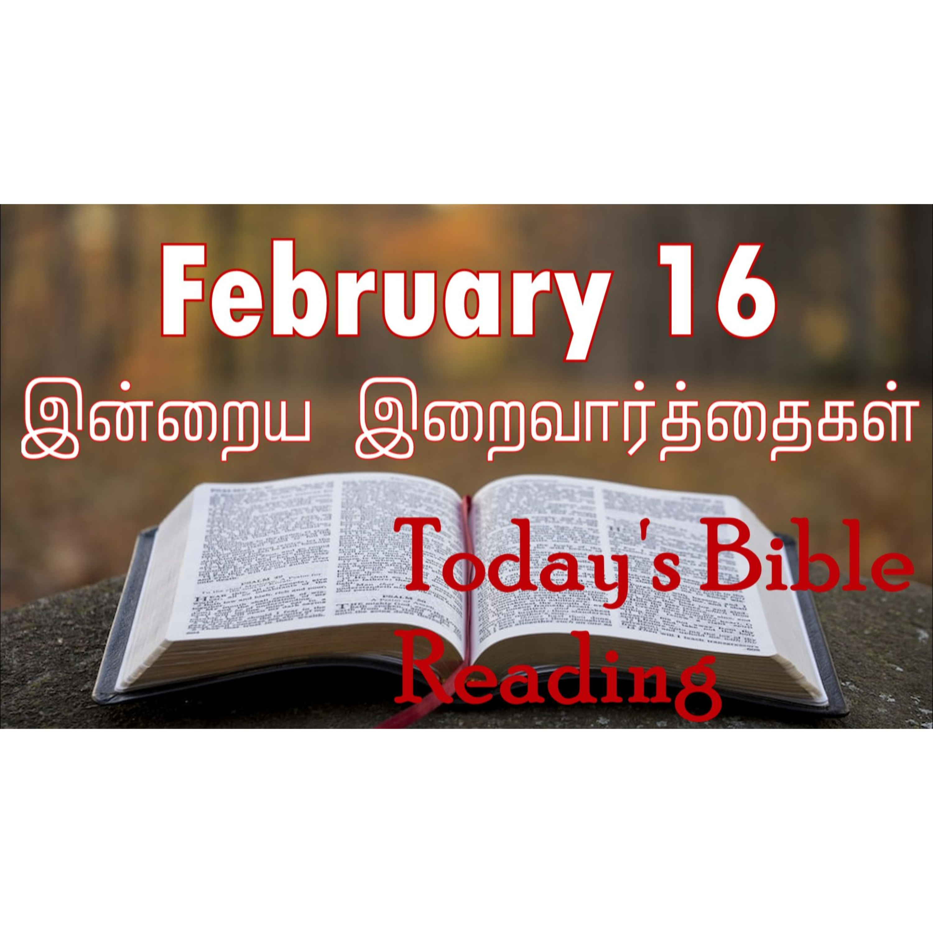 16 February 2024 | இன்றைய திருப்பலி வாசகங்கள் | Holy Mass Readings Tamil | Catholic | Daily Bible Reading Tamil | Mass readings today episode artwork