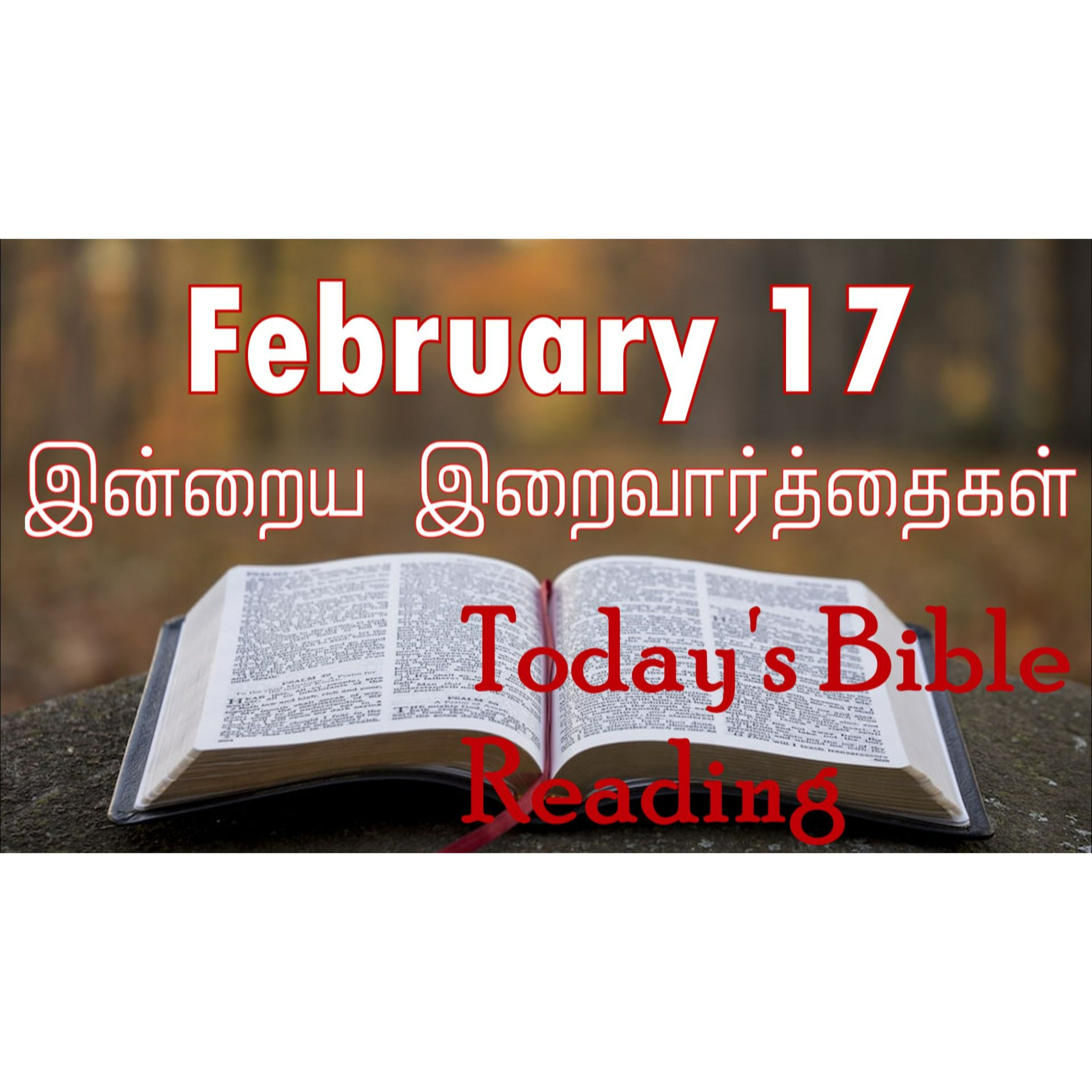 17 February 2024 | இன்றைய திருப்பலி வாசகங்கள் | Holy Mass Readings Tamil | Catholic | Daily Bible Reading Tamil | Mass readings today  episode artwork
