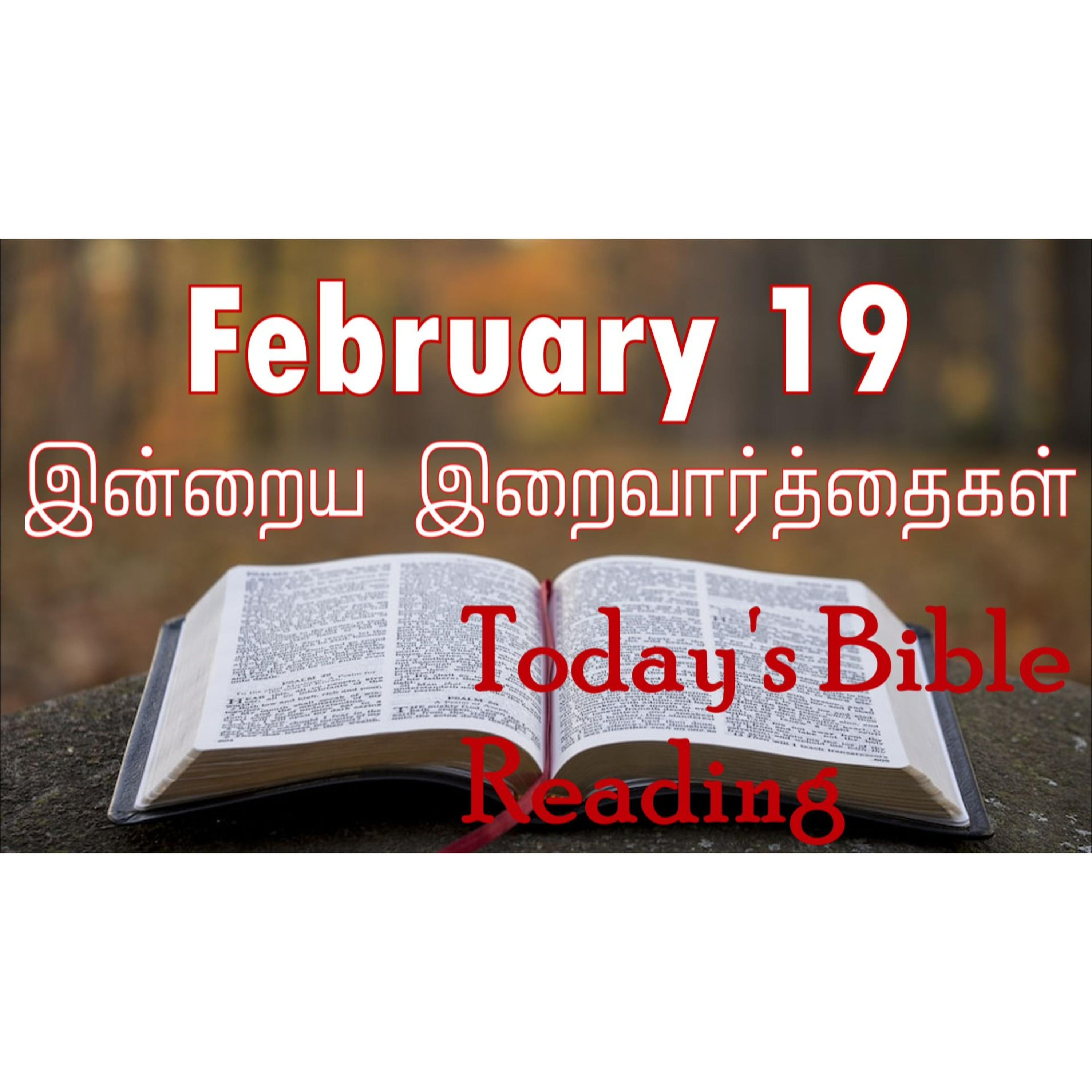 19 February 2024 | இன்றைய திருப்பலி வாசகங்கள் | Holy Mass Readings Tamil | Catholic | Daily Bible Reading Tamil | Mass readings today  episode artwork
