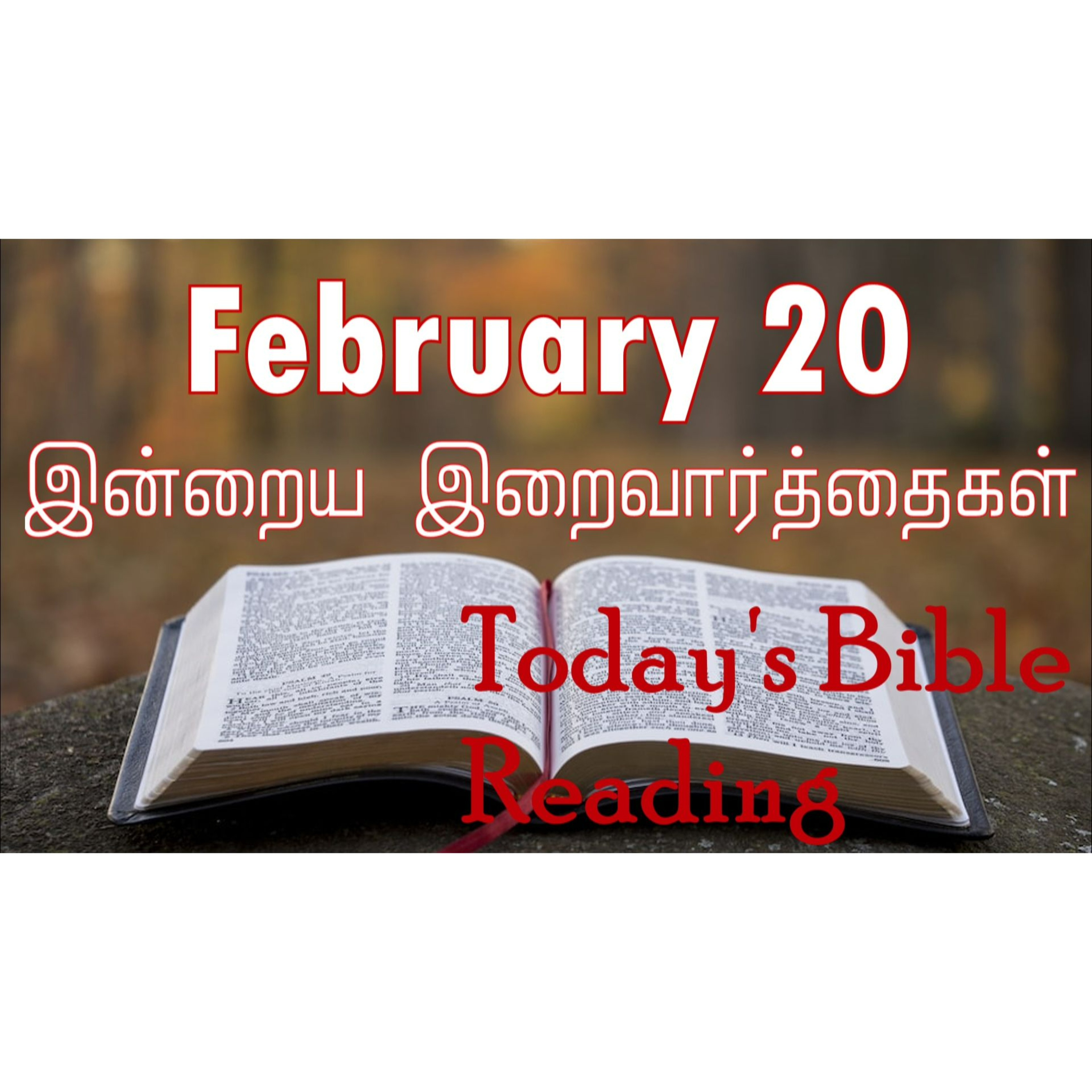 20 February 2024 | இன்றைய திருப்பலி வாசகங்கள் | Holy Mass Readings Tamil | Catholic | Daily Bible Reading Tamil | Mass readings today episode artwork