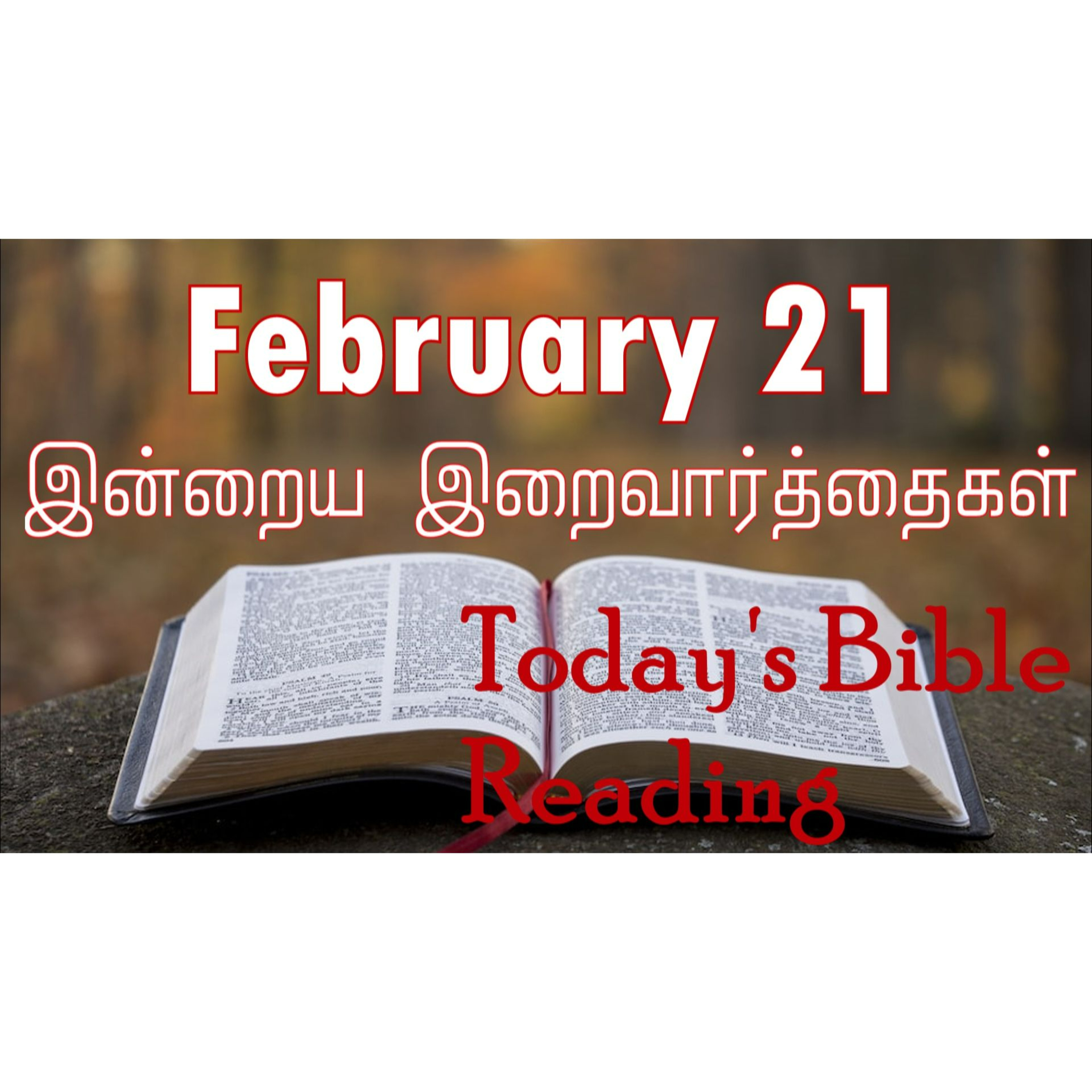 21 February 2024 | இன்றைய திருப்பலி வாசகங்கள் | Holy Mass Readings Tamil | Catholic | Daily Bible Reading Tamil | Mass readings today episode artwork
