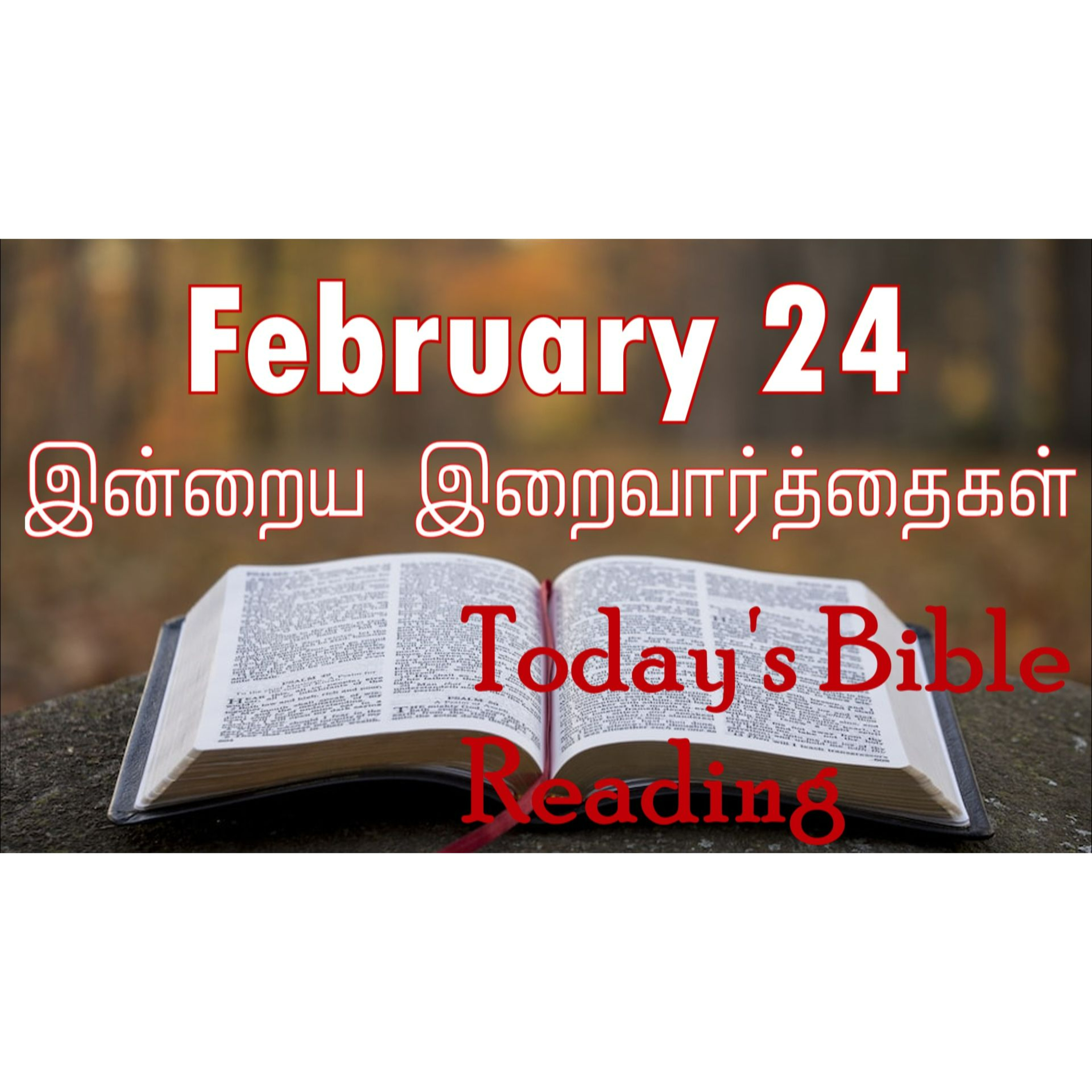 24 February 2024 | இன்றைய திருப்பலி வாசகங்கள் | Holy Mass Readings Tamil | Catholic | Daily Bible Reading Tamil | Mass readings today episode artwork