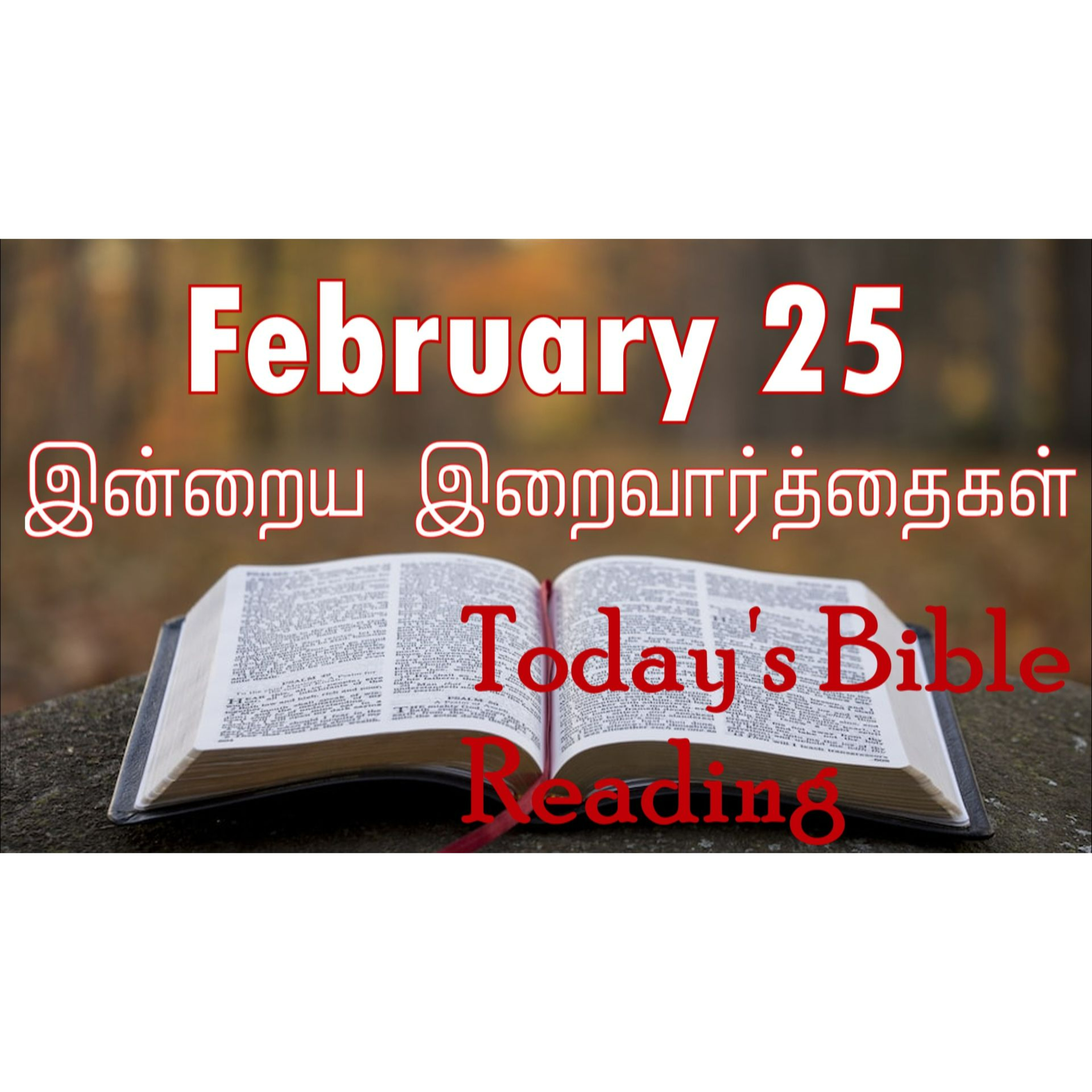 25 February 2024 | இன்றைய திருப்பலி வாசகங்கள் | Holy Mass Readings Tamil | Catholic | Daily Bible Reading Tamil | Mass readings today episode artwork