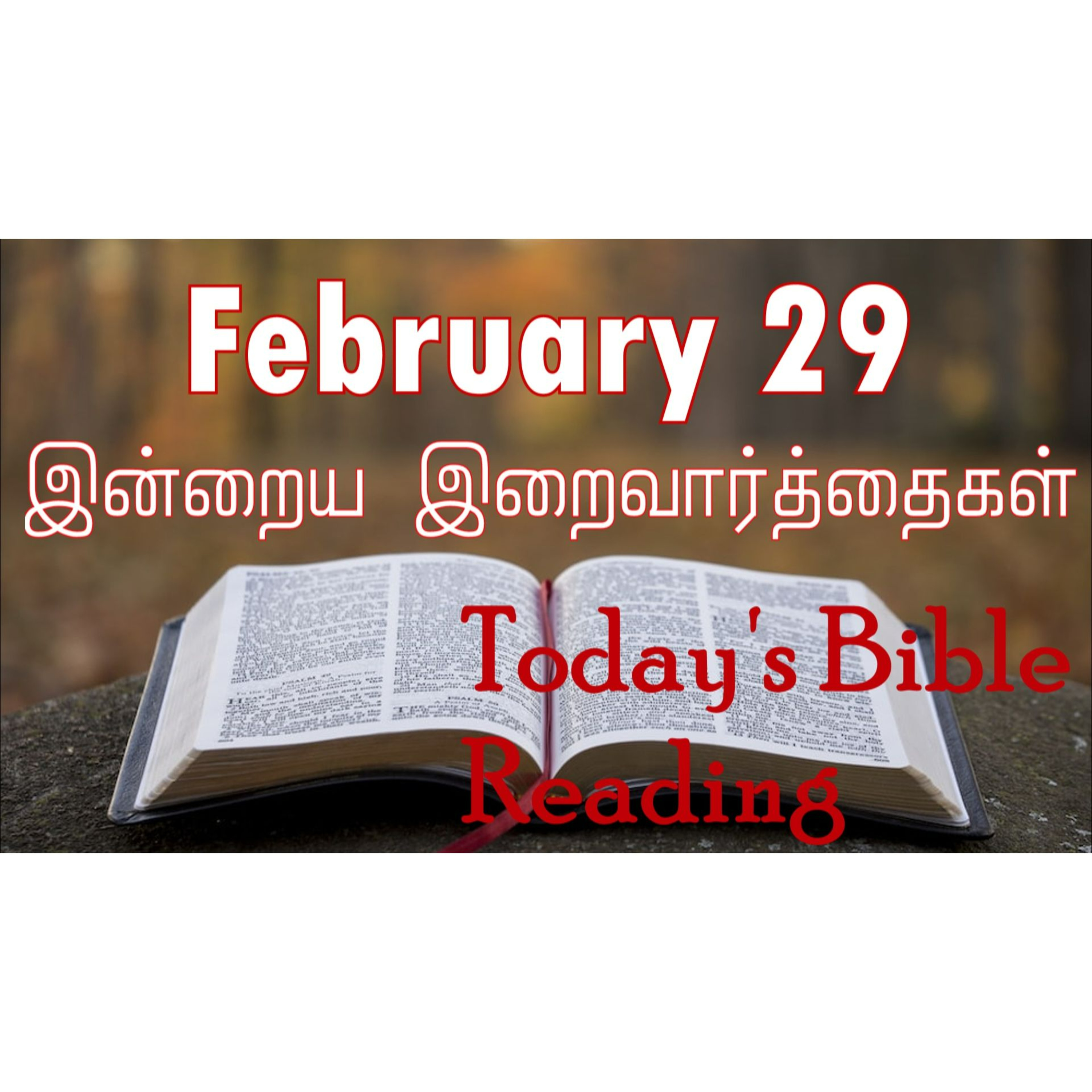 29 February 2024 | இன்றைய திருப்பலி வாசகங்கள் | Holy Mass Readings Tamil | Catholic | Daily Bible Reading Tamil | Mass readings today episode artwork