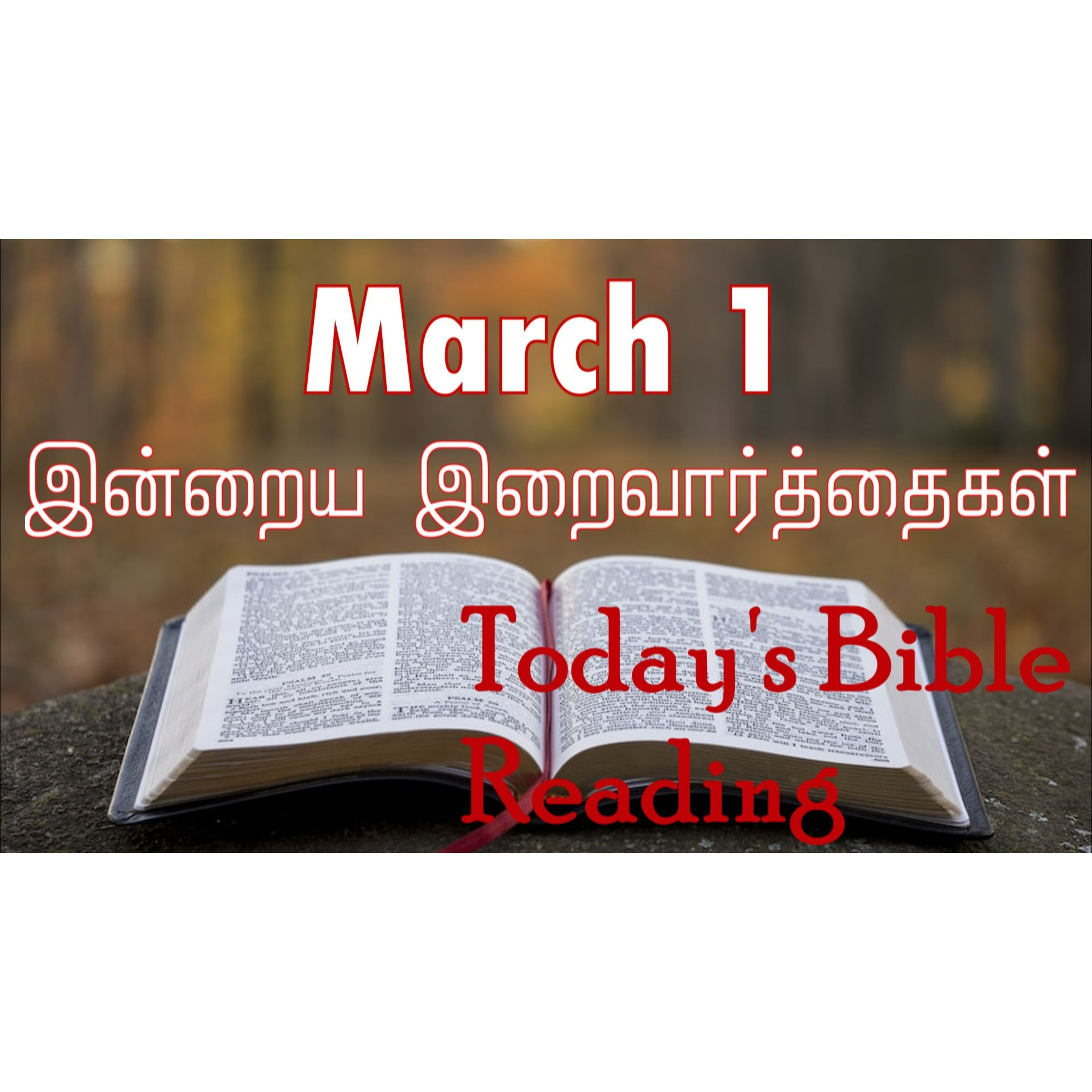 1 March 2024 | இன்றைய திருப்பலி வாசகங்கள் | Holy Mass Readings Tamil | Catholic | Daily Bible Reading Tamil | Mass readings today episode artwork