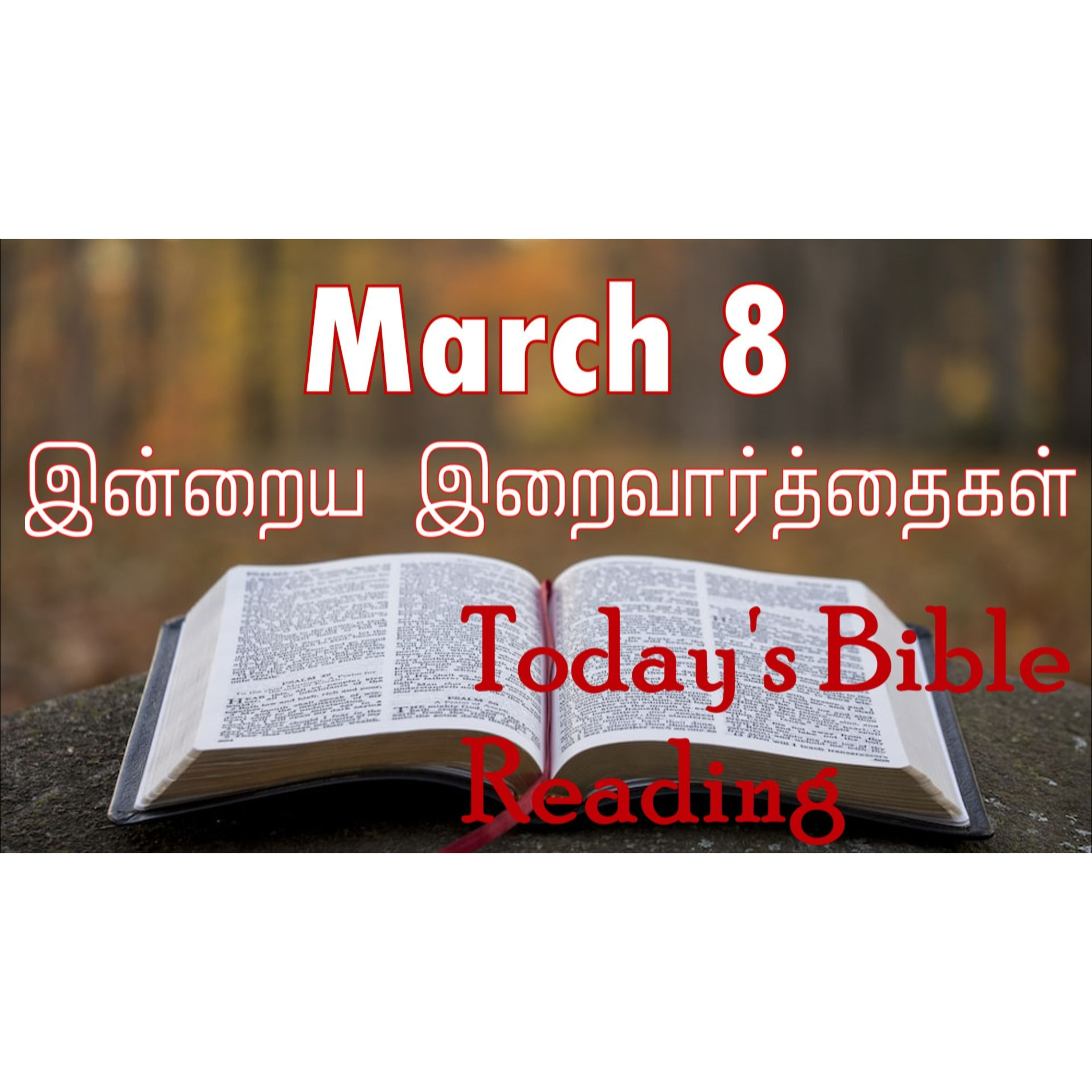 8 March 2024 | இன்றைய திருப்பலி வாசகங்கள் | Holy Mass Readings Tamil | Catholic | Daily Bible Reading Tamil | Mass readings today episode artwork