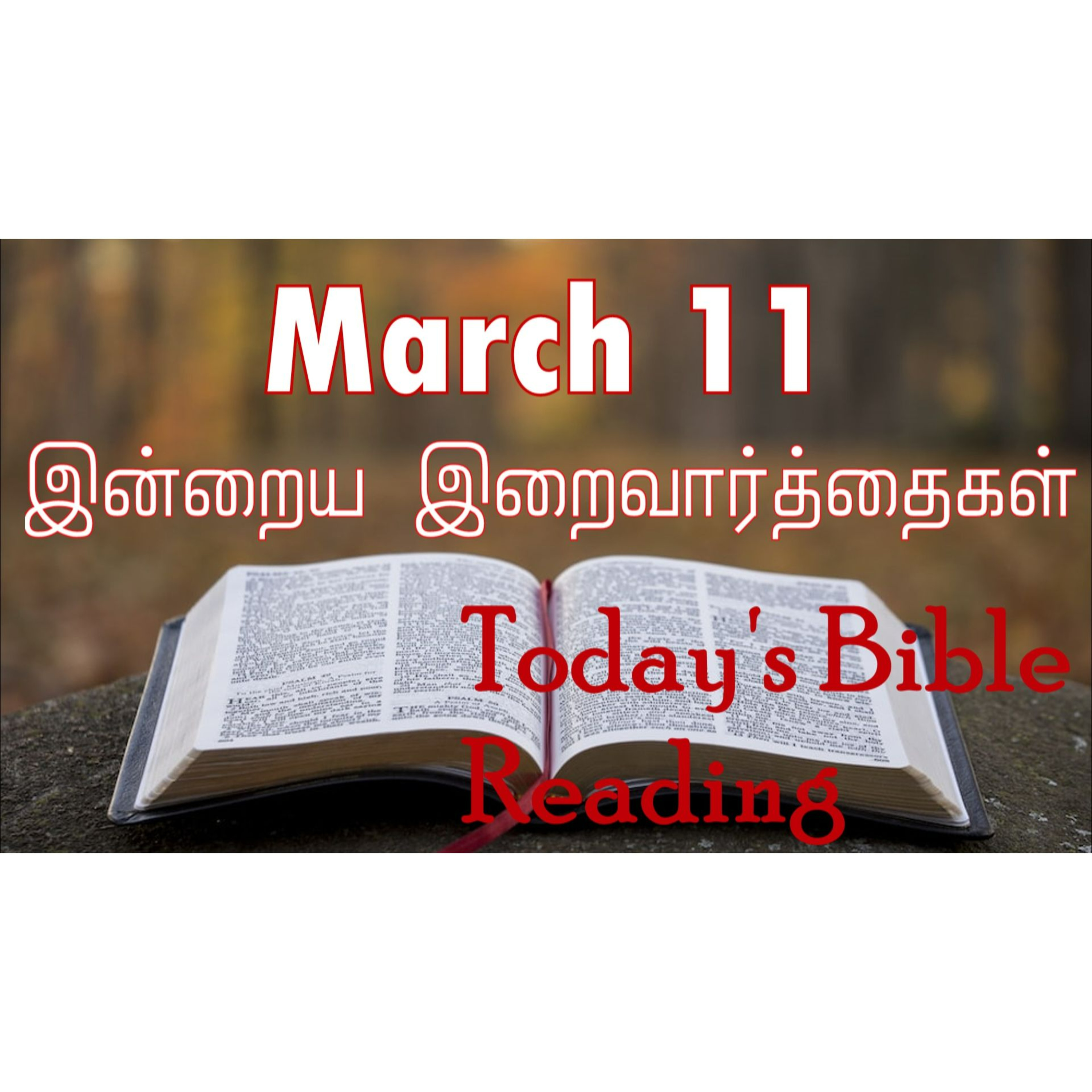 11 March 2024 | இன்றைய திருப்பலி வாசகங்கள் | Holy Mass Readings Tamil | Catholic | Daily Bible Reading Tamil  episode artwork