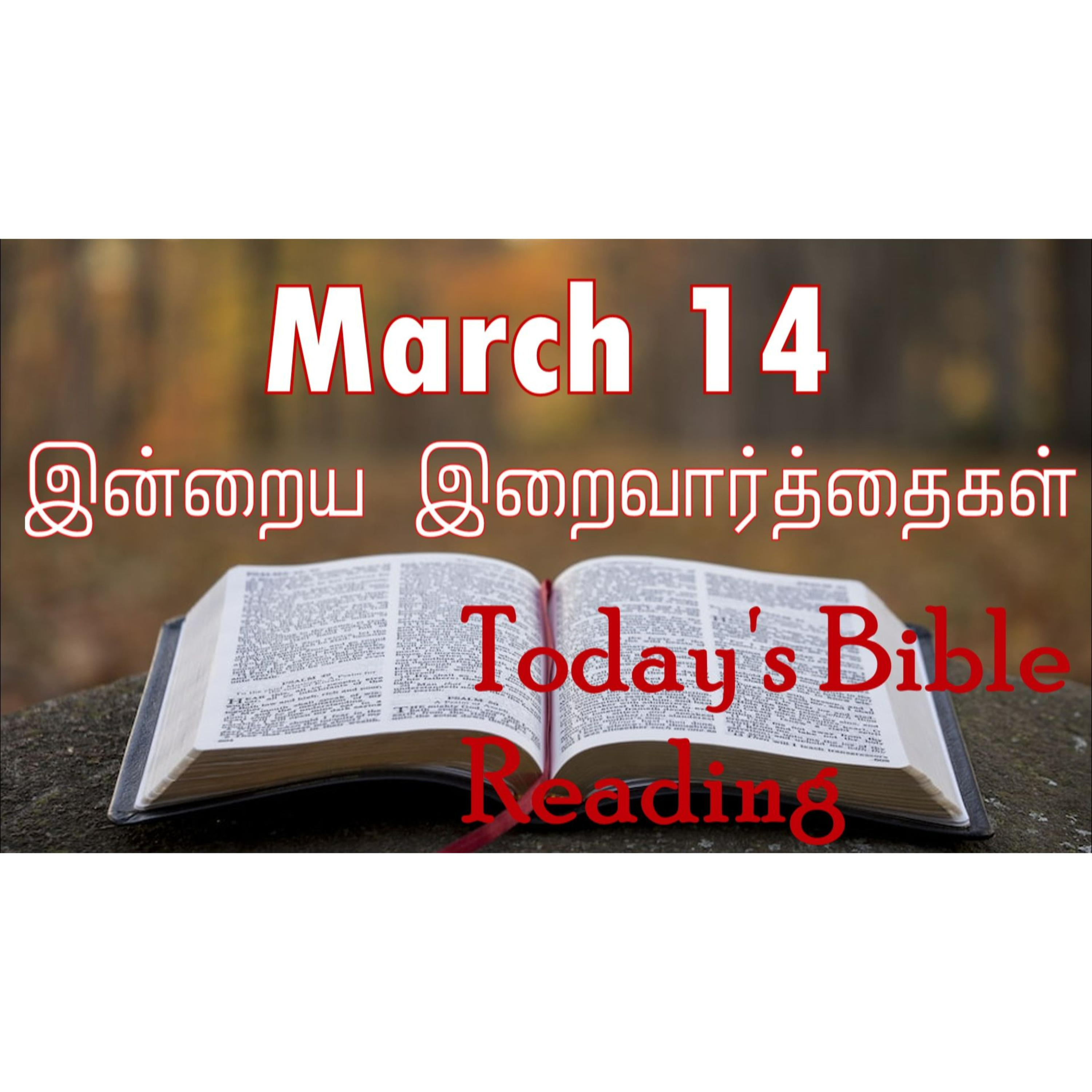 14 March 2024 | இன்றைய திருப்பலி வாசகங்கள் | Holy Mass Readings Tamil | Catholic | Daily Bible Reading Tamil episode artwork
