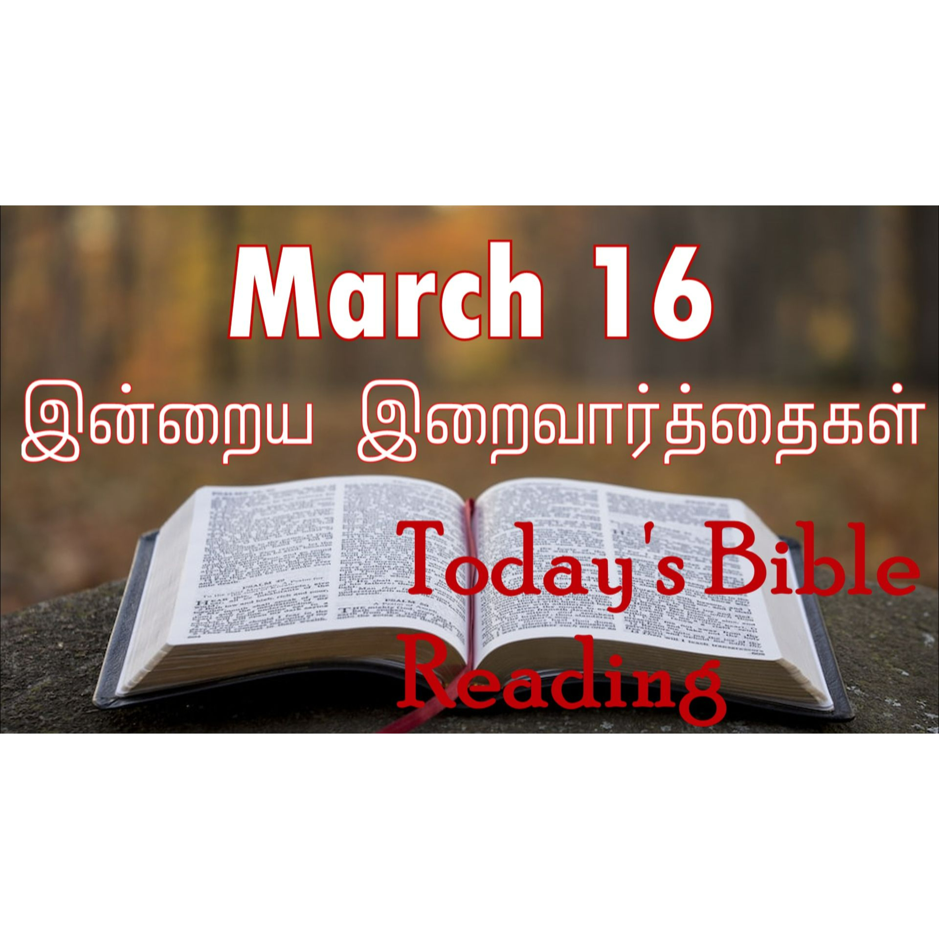 16 March 2024 | இன்றைய திருப்பலி வாசகங்கள் | Holy Mass Readings Tamil | Catholic | Daily Bible Reading Tamil episode artwork