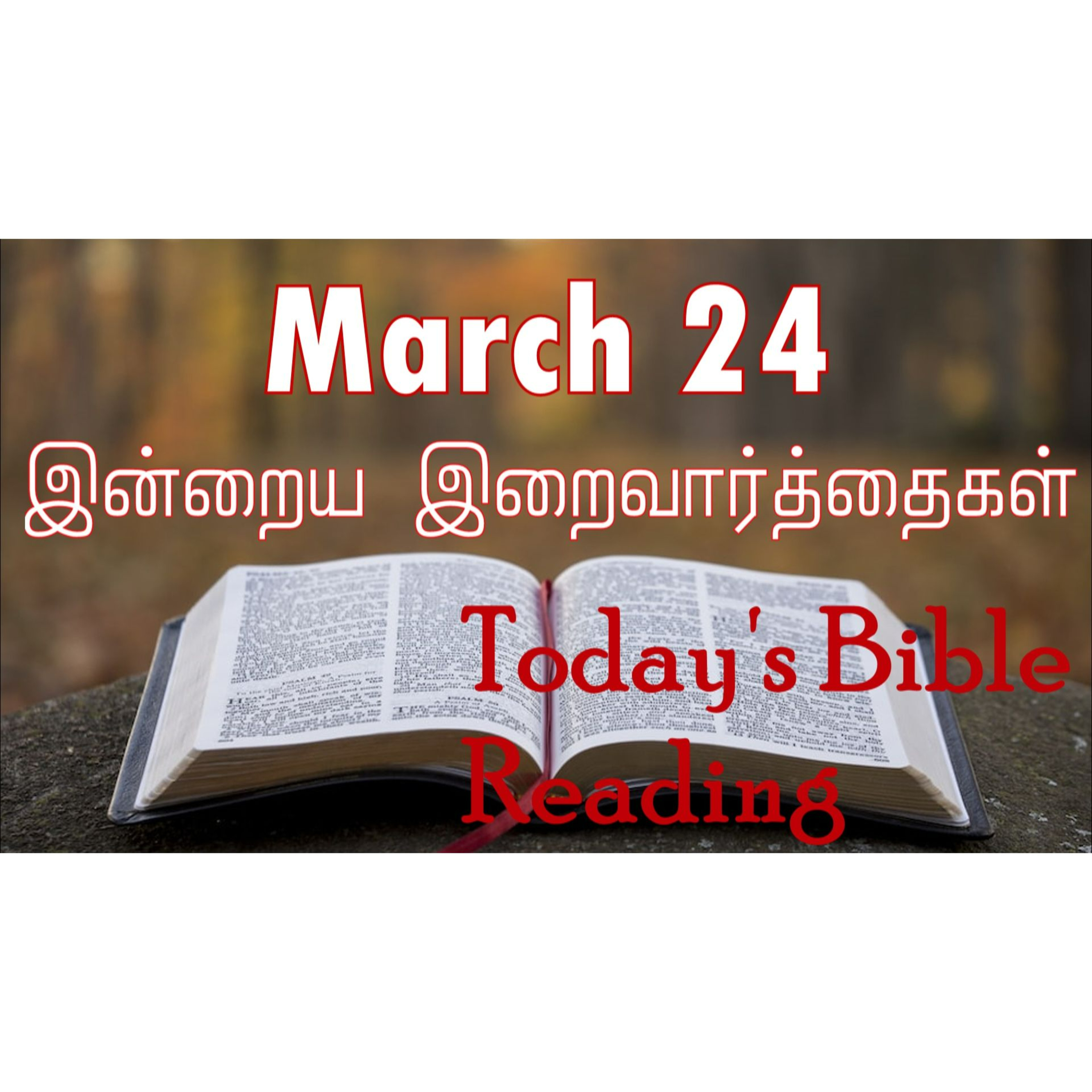 24 March 2024 | இன்றைய திருப்பலி வாசகங்கள் | Holy Mass Readings Tamil | Catholic | Daily Bible Reading Tamil episode artwork