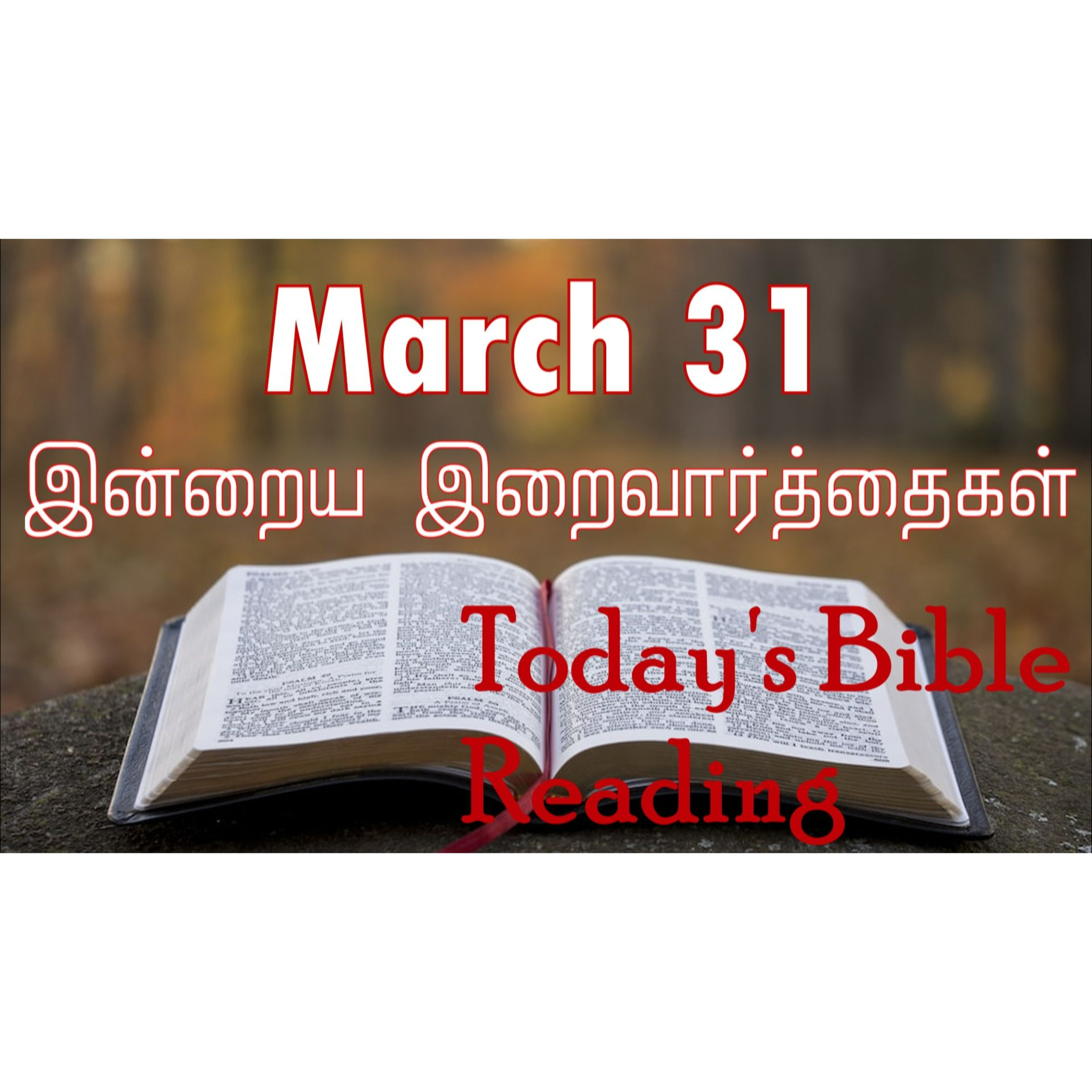 31 March 2024 | இன்றைய திருப்பலி வாசகங்கள் | Holy Mass Readings Tamil | Catholic | Daily Bible Reading Tamil  episode artwork