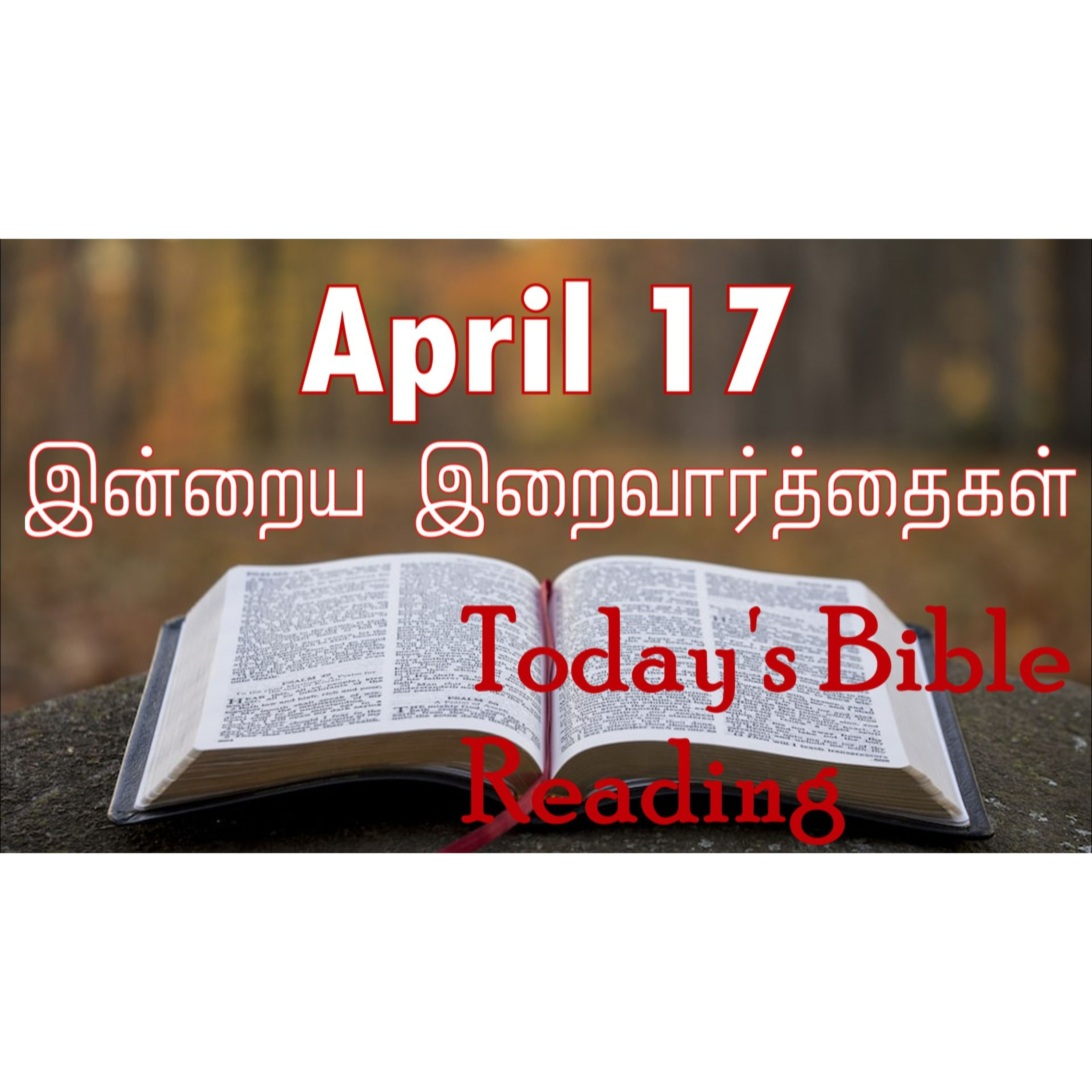 17 April 2024 | இன்றைய திருப்பலி வாசகங்கள் | Holy Mass Readings Tamil | Catholic | Daily Bible Reading Tamil episode artwork
