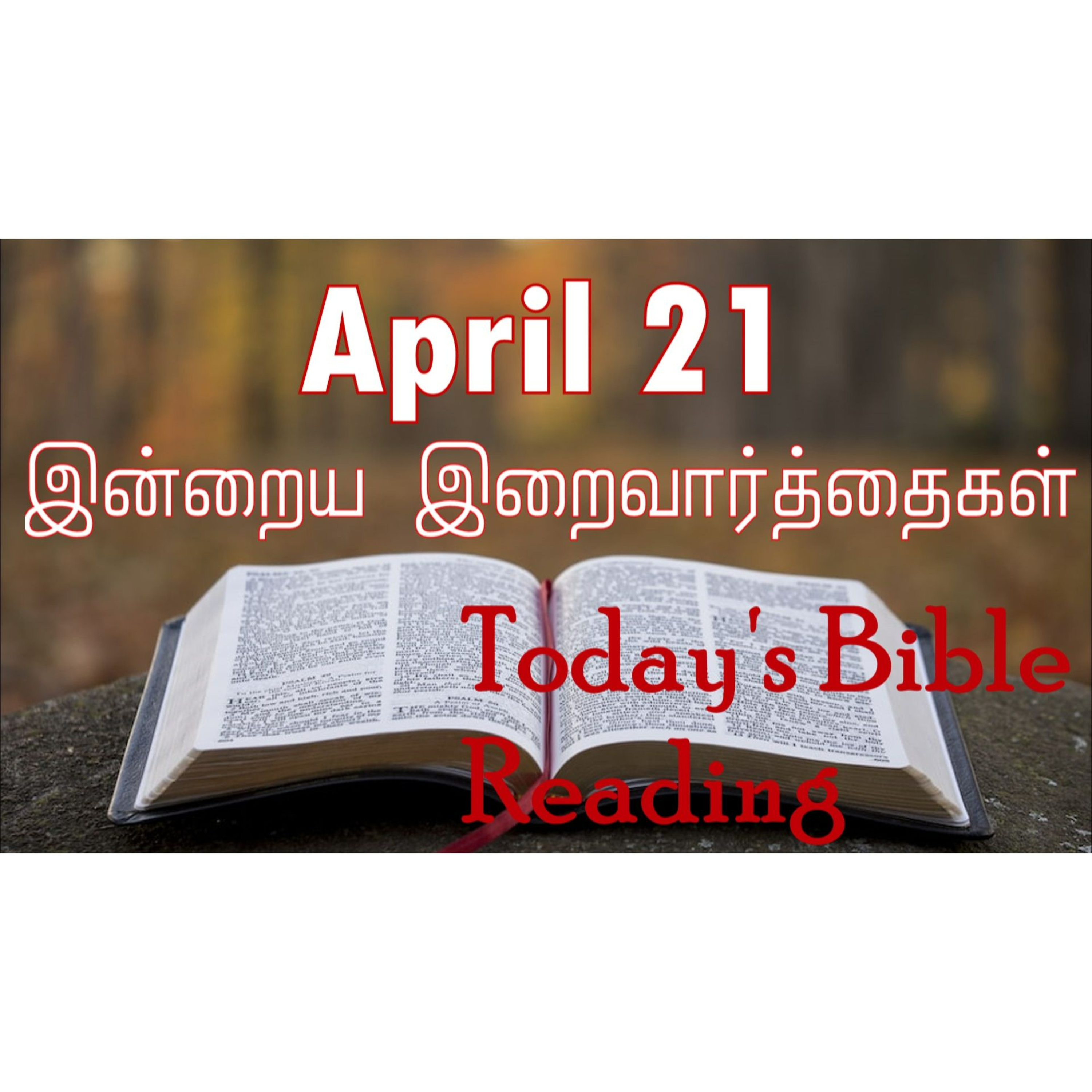 21 April 2024 | இன்றைய திருப்பலி வாசகங்கள் | Holy Mass Readings Tamil | Catholic | Daily Bible Reading Tamil  episode artwork