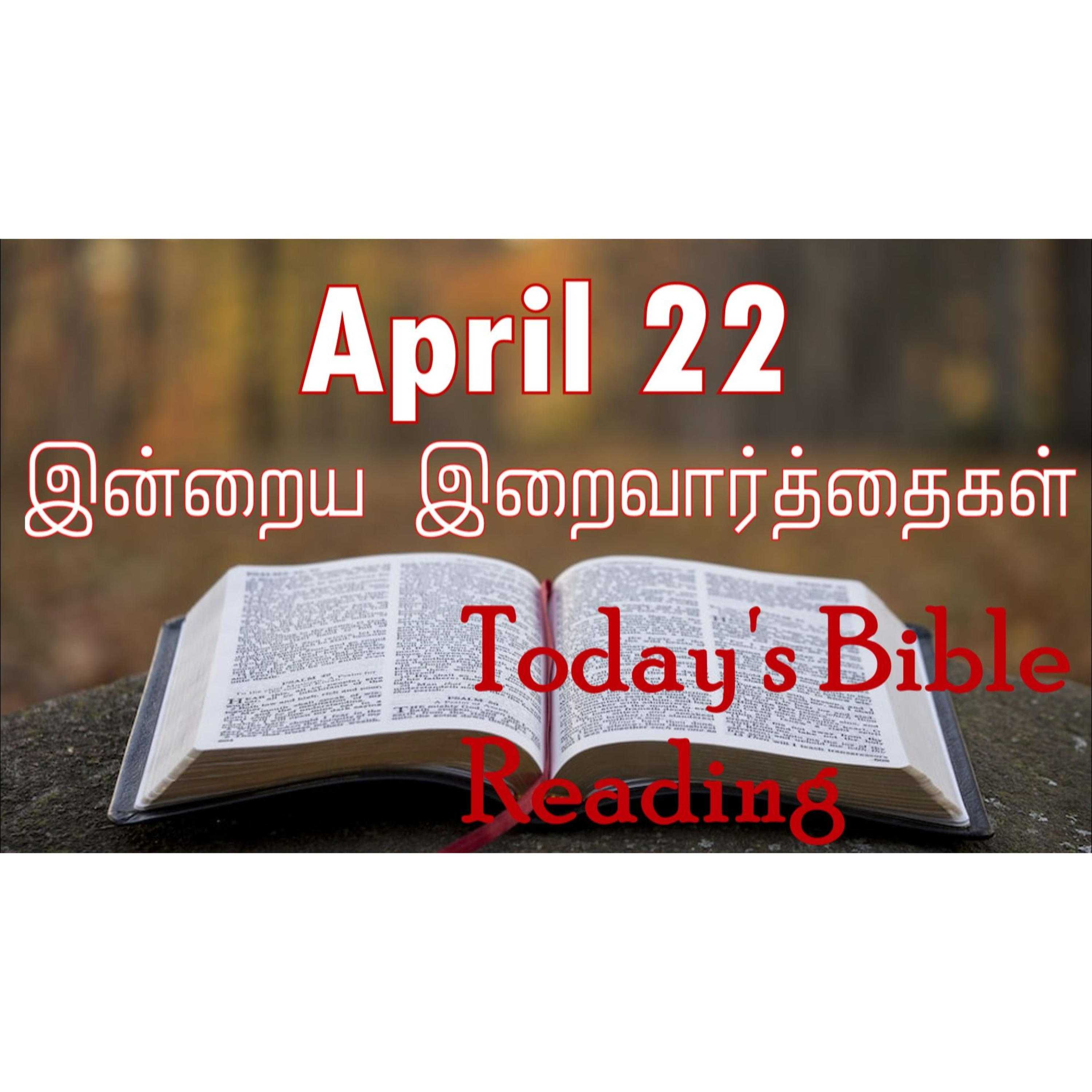 22 April 2024 | இன்றைய திருப்பலி வாசகங்கள் | Holy Mass Readings Tamil | Catholic | Daily Bible Reading Tamil episode artwork