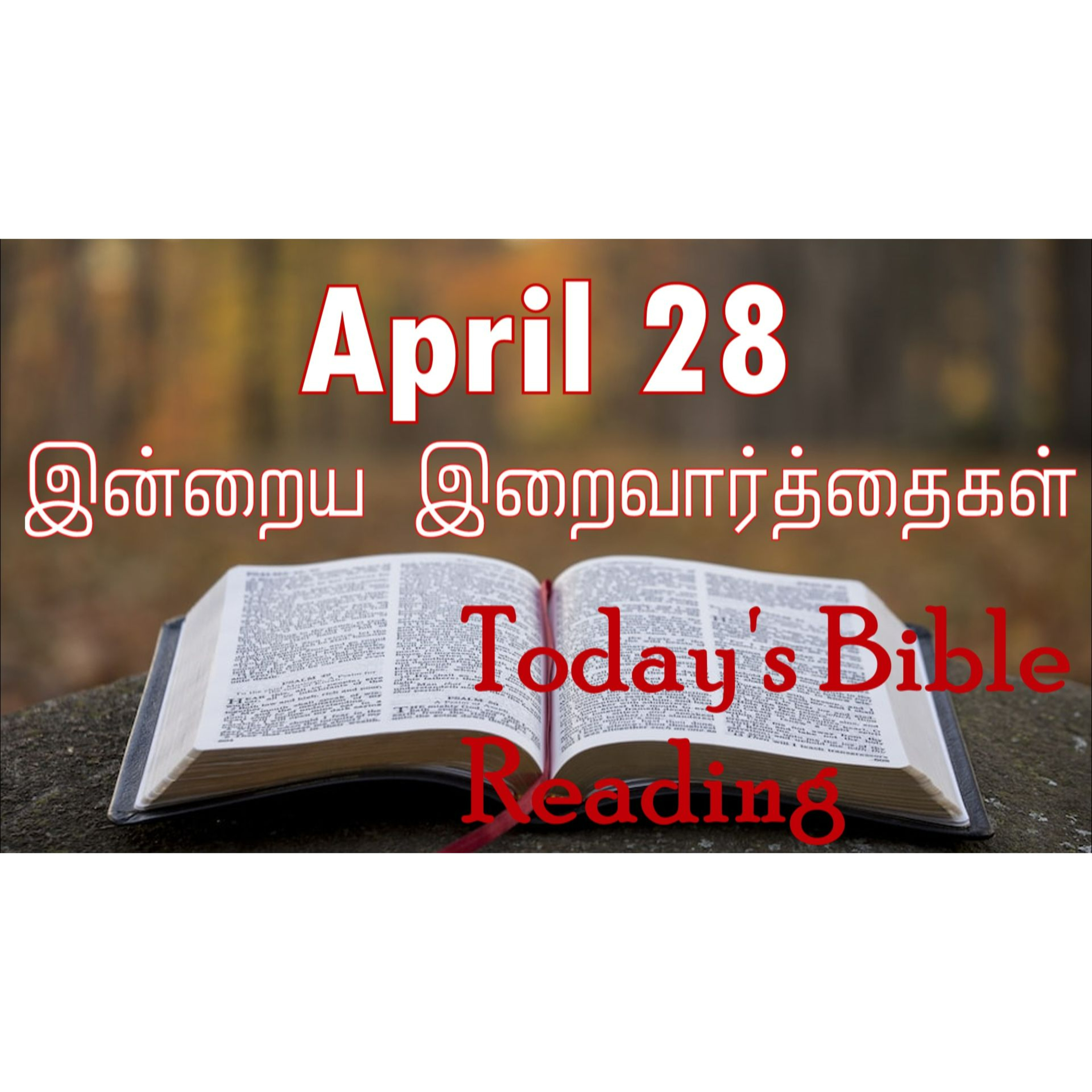 28 April 2024 | இன்றைய திருப்பலி வாசகங்கள் | Holy Mass Readings Tamil | Catholic | Daily Bible Reading Tamil episode artwork