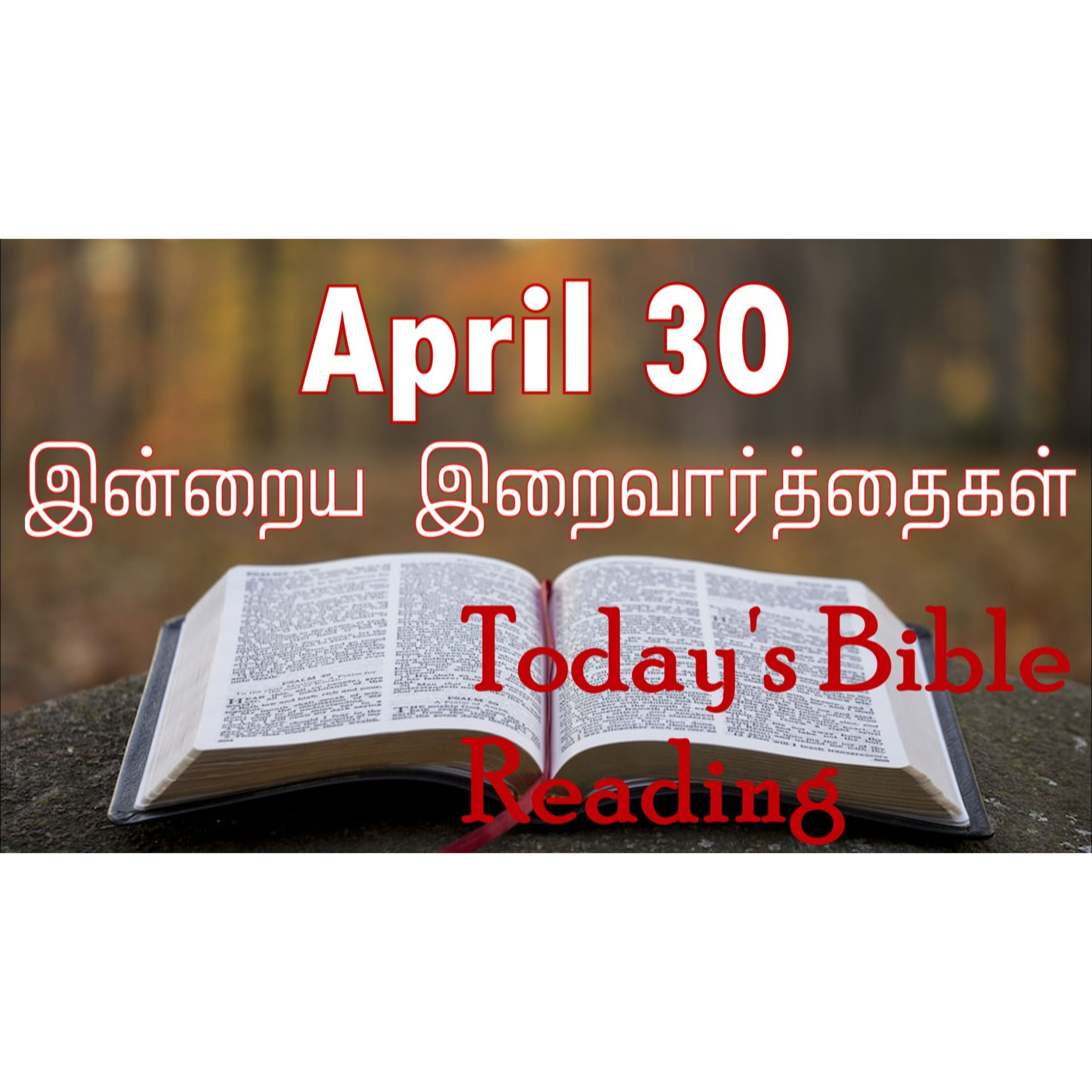 30 April 2024 | இன்றைய திருப்பலி வாசகங்கள் | Holy Mass Readings Tamil | Catholic | Daily Bible Reading Tamil episode artwork