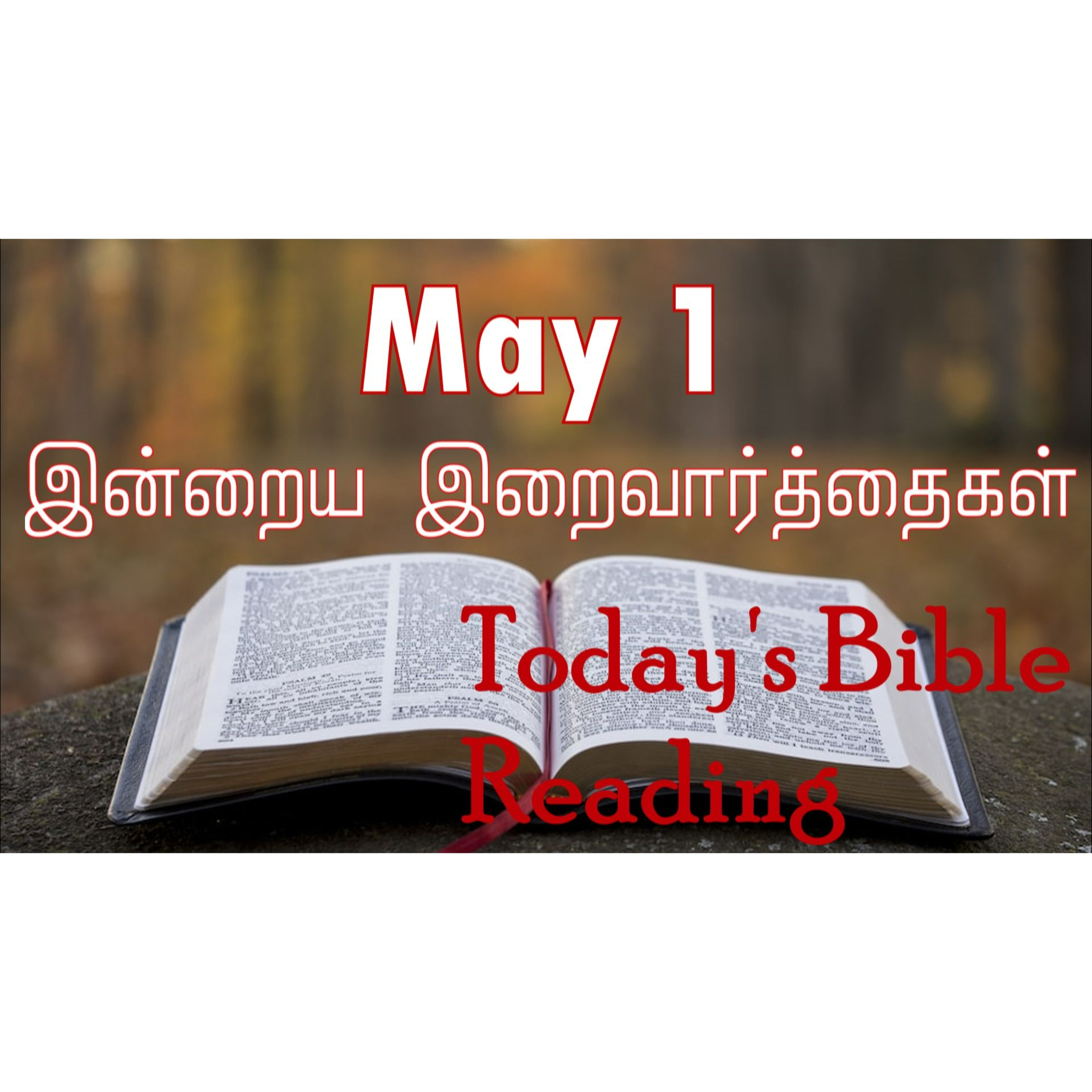 1 May 2024 | இன்றைய திருப்பலி வாசகங்கள் | Holy Mass Readings Tamil | Catholic | Daily Bible Reading Tamil 