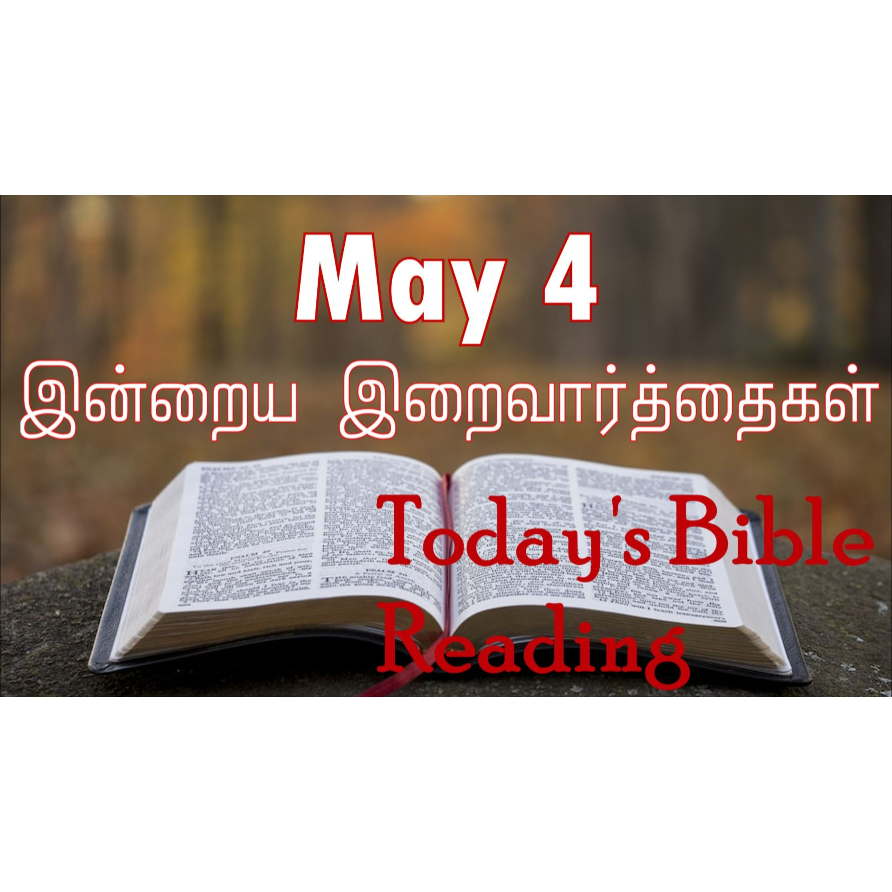 4 May 2024 | இன்றைய திருப்பலி வாசகங்கள் | Holy Mass Readings Tamil | Catholic | Daily Bible Reading Tamil episode artwork