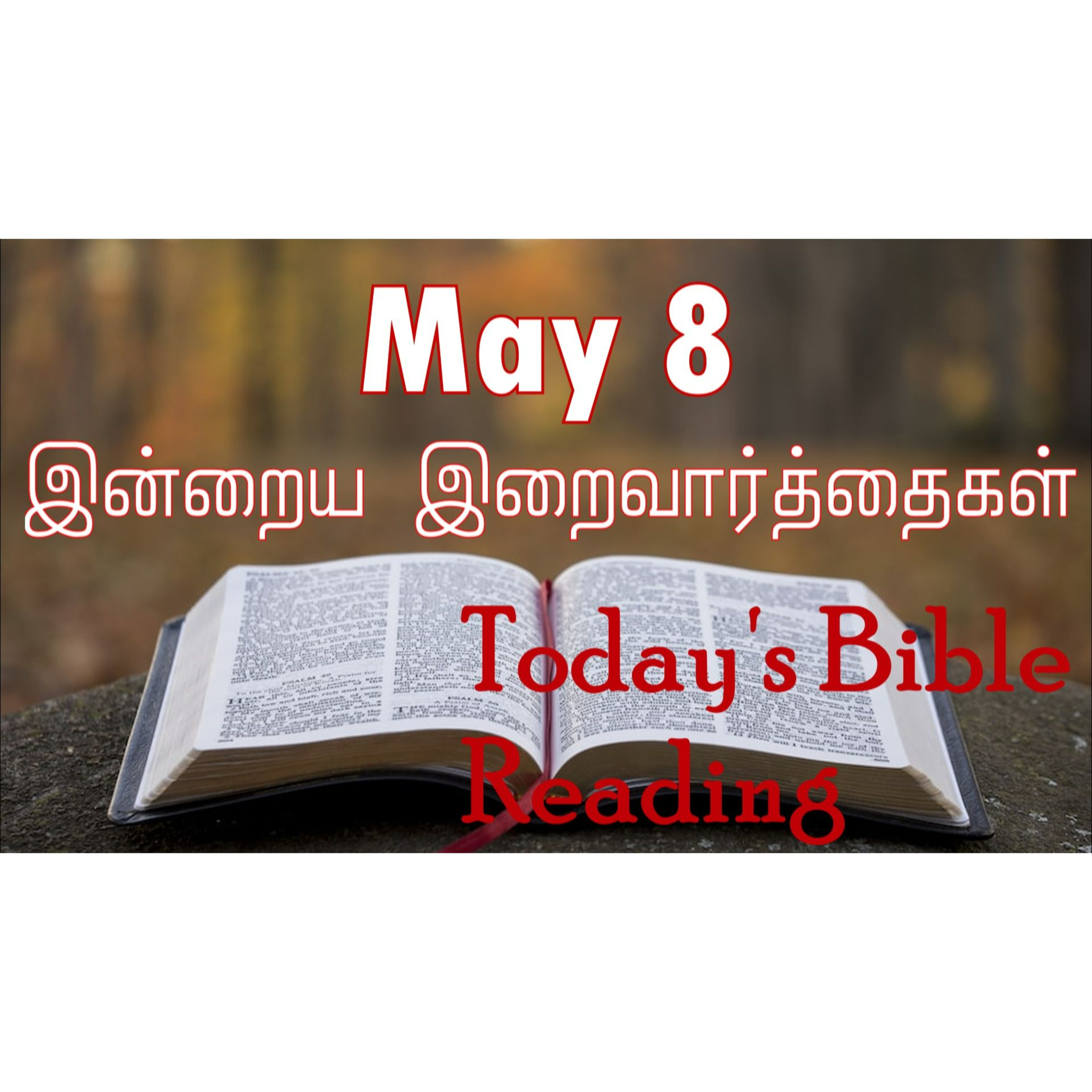 8 May 2024 | இன்றைய திருப்பலி வாசகங்கள் | Holy Mass Readings Tamil | Catholic | Daily Bible Reading Tamil episode artwork
