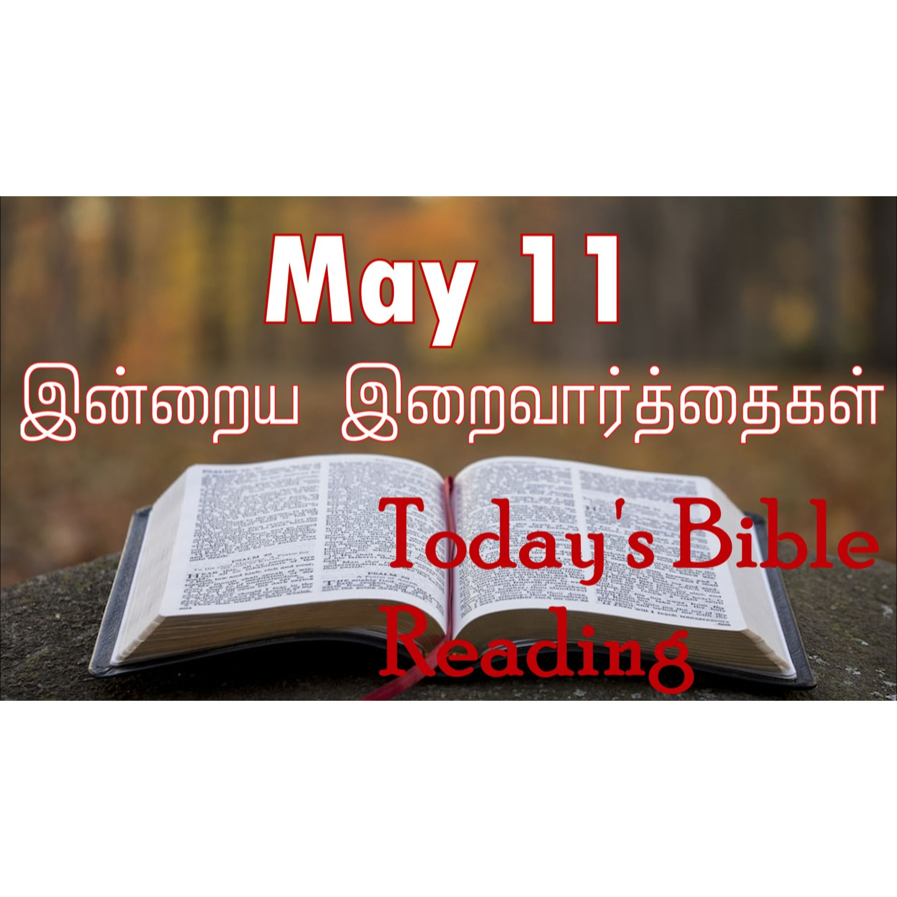 11 May 2024 | இன்றைய திருப்பலி வாசகங்கள் | Holy Mass Readings Tamil | Catholic | Daily Bible Reading Tamil episode artwork