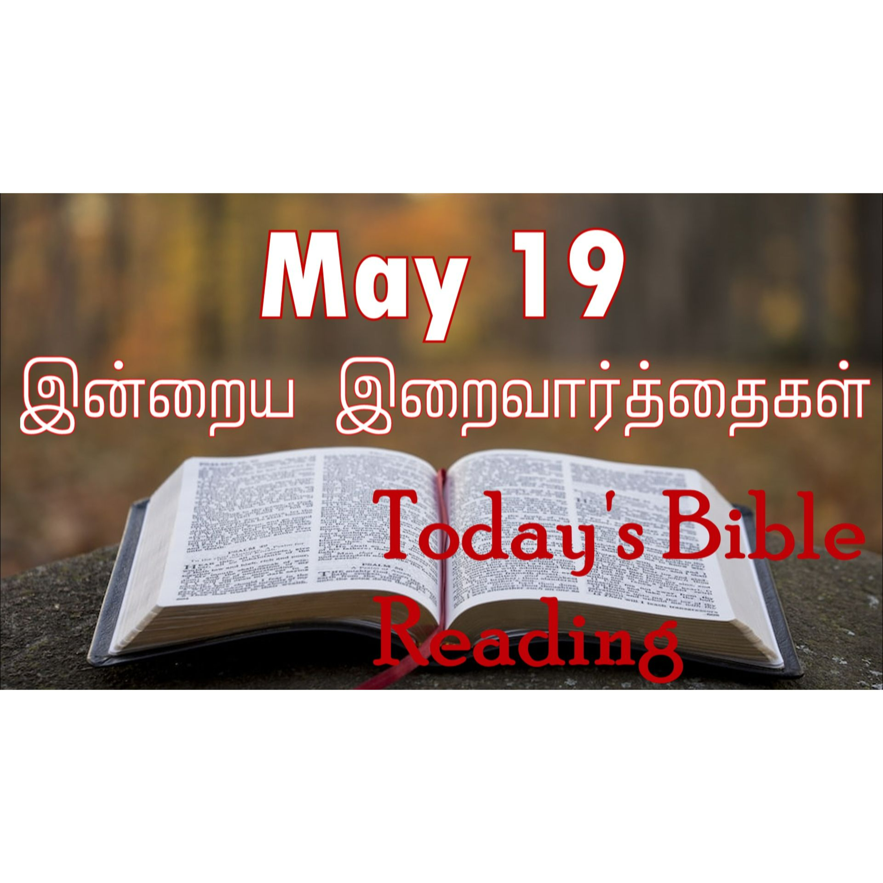 19 May 2024 | இன்றைய திருப்பலி வாசகங்கள் | Holy Mass Readings Tamil | Catholic | Daily Bible Reading Tamil episode artwork