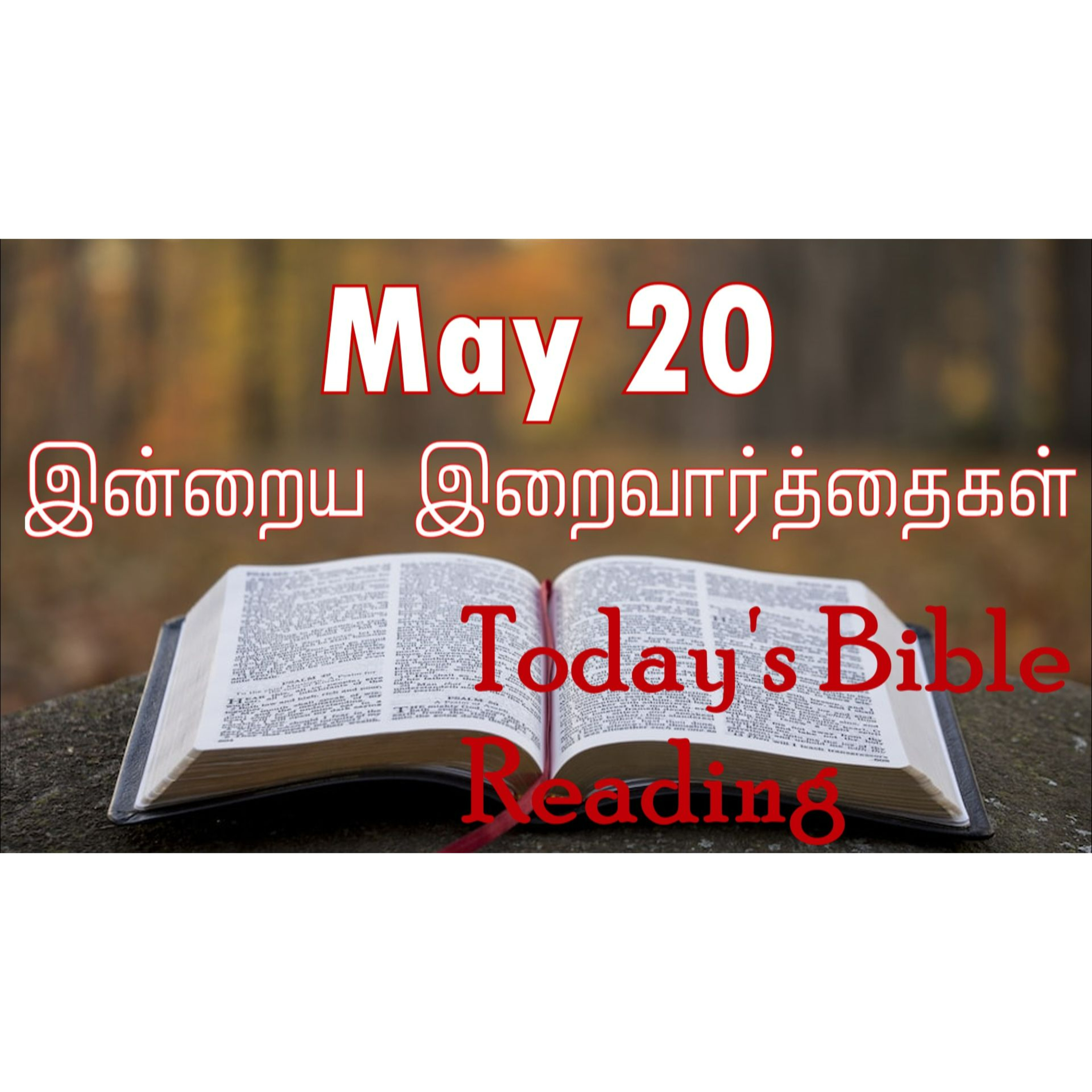20 May 2024 | இன்றைய திருப்பலி வாசகங்கள் | Holy Mass Readings Tamil | Catholic | Daily Bible Reading Tamil  episode artwork