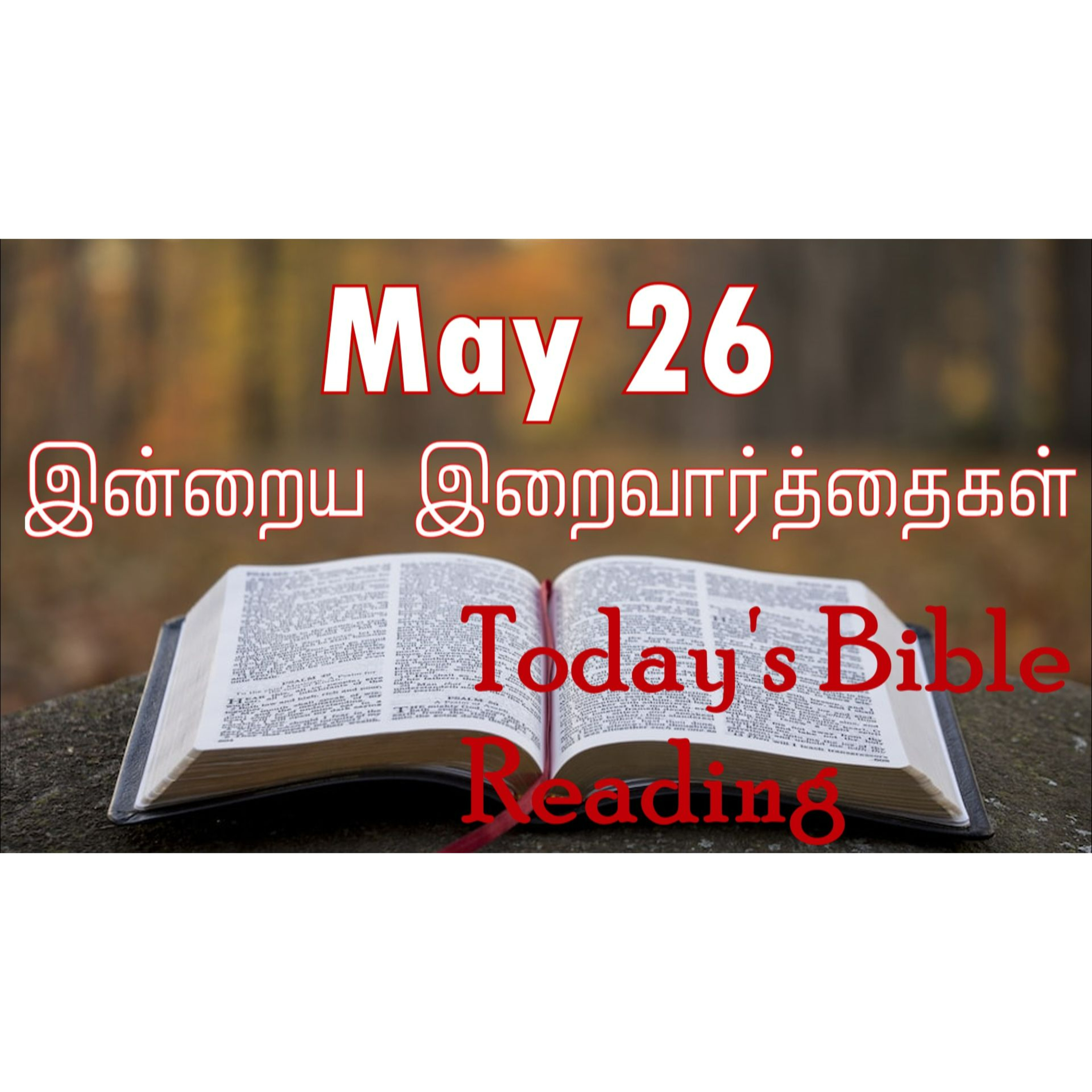 26 May 2024 | இன்றைய திருப்பலி வாசகங்கள் | Holy Mass Readings Tamil | Catholic | Daily Bible Reading Tamil episode artwork